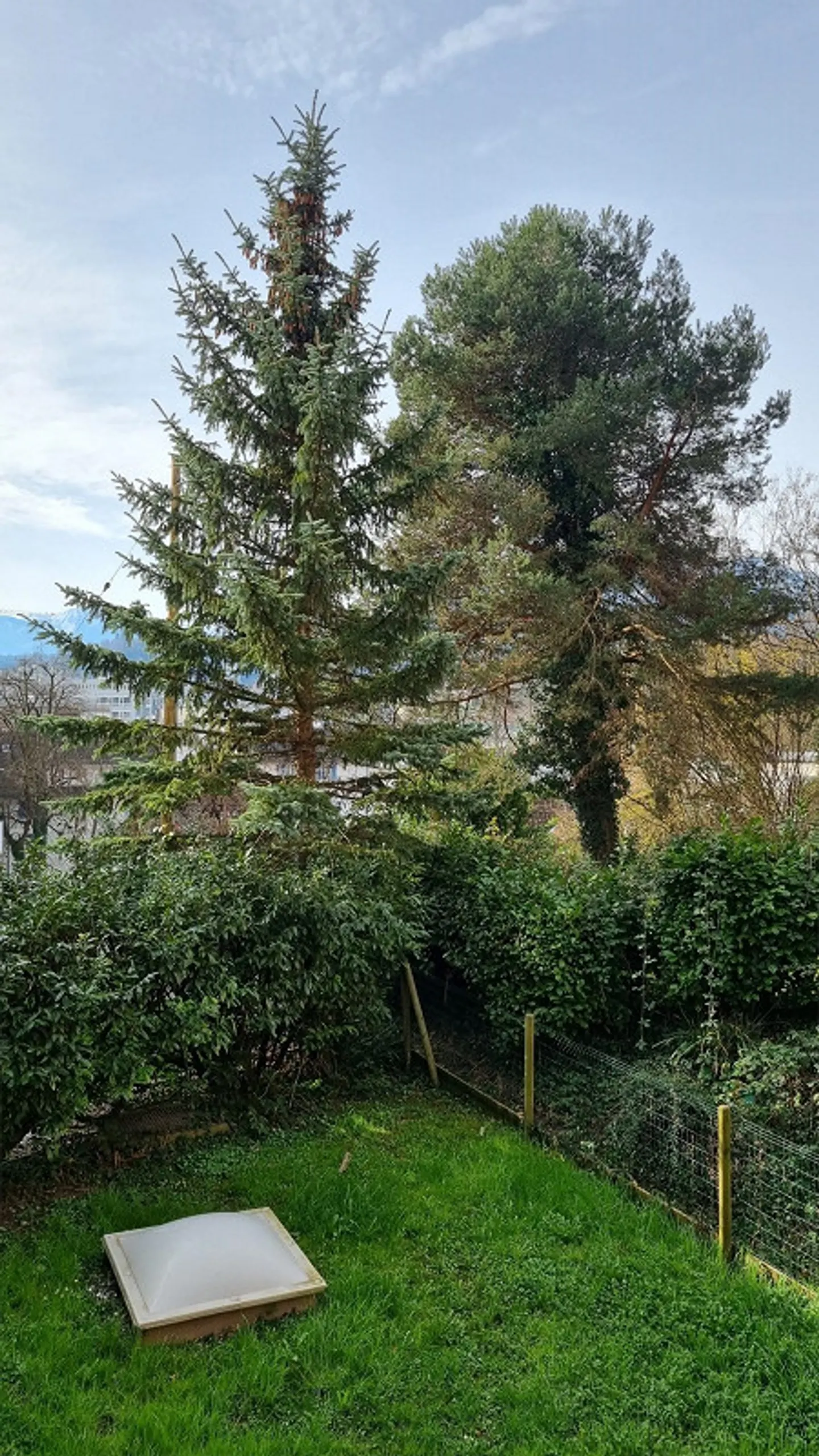 Appartamento 2,5 locali nel centro di Emmenbrücke - Foto 5 di 6