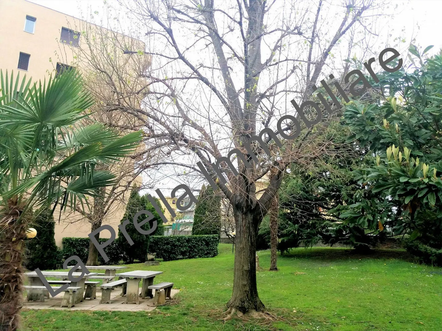 Spacieux 3.5 pièces avec jardin commun et dans une position stratégique - Photo 1 sur 14