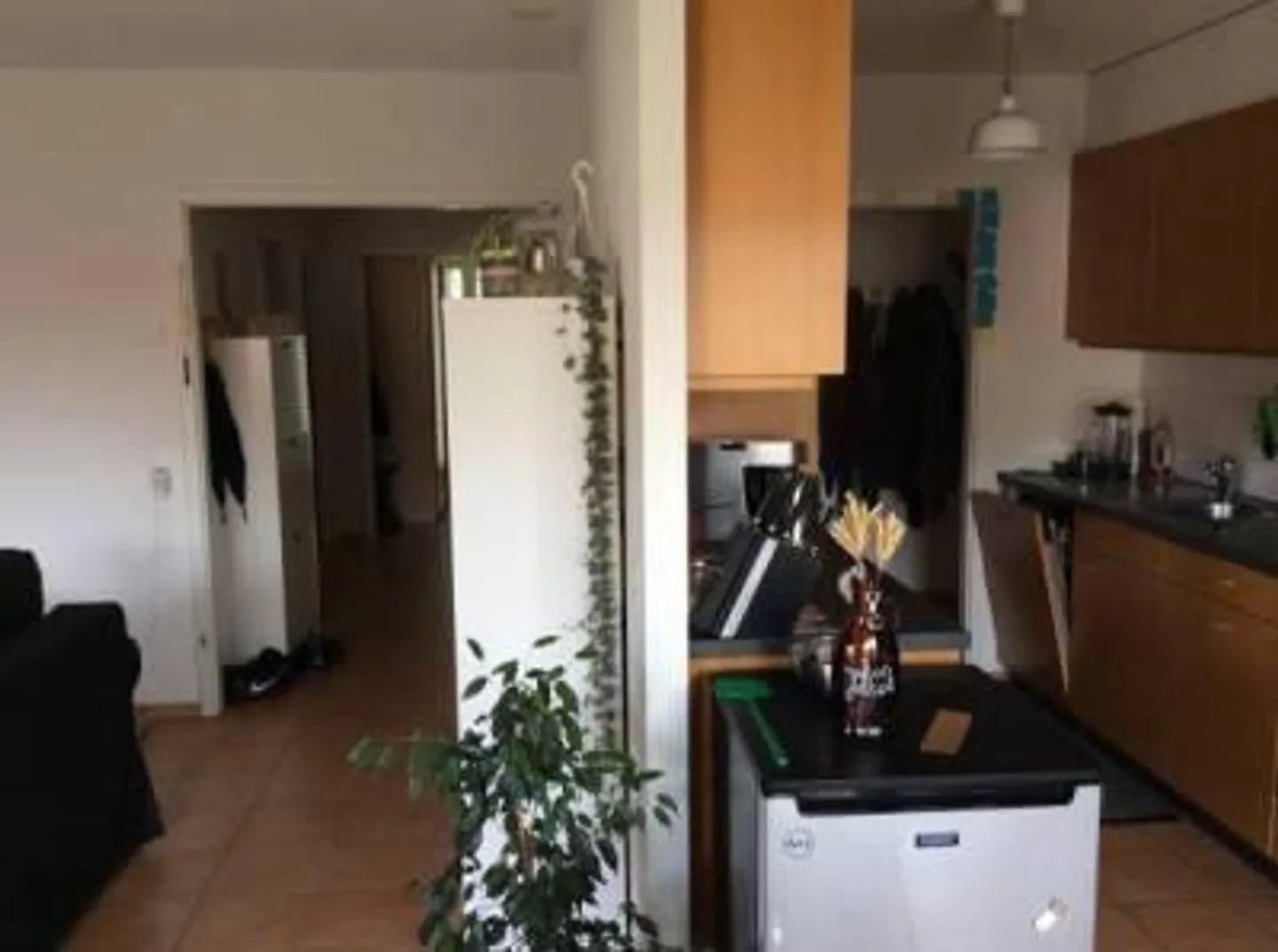 Appartamento 3.5 stanze - Foto 1 di 5