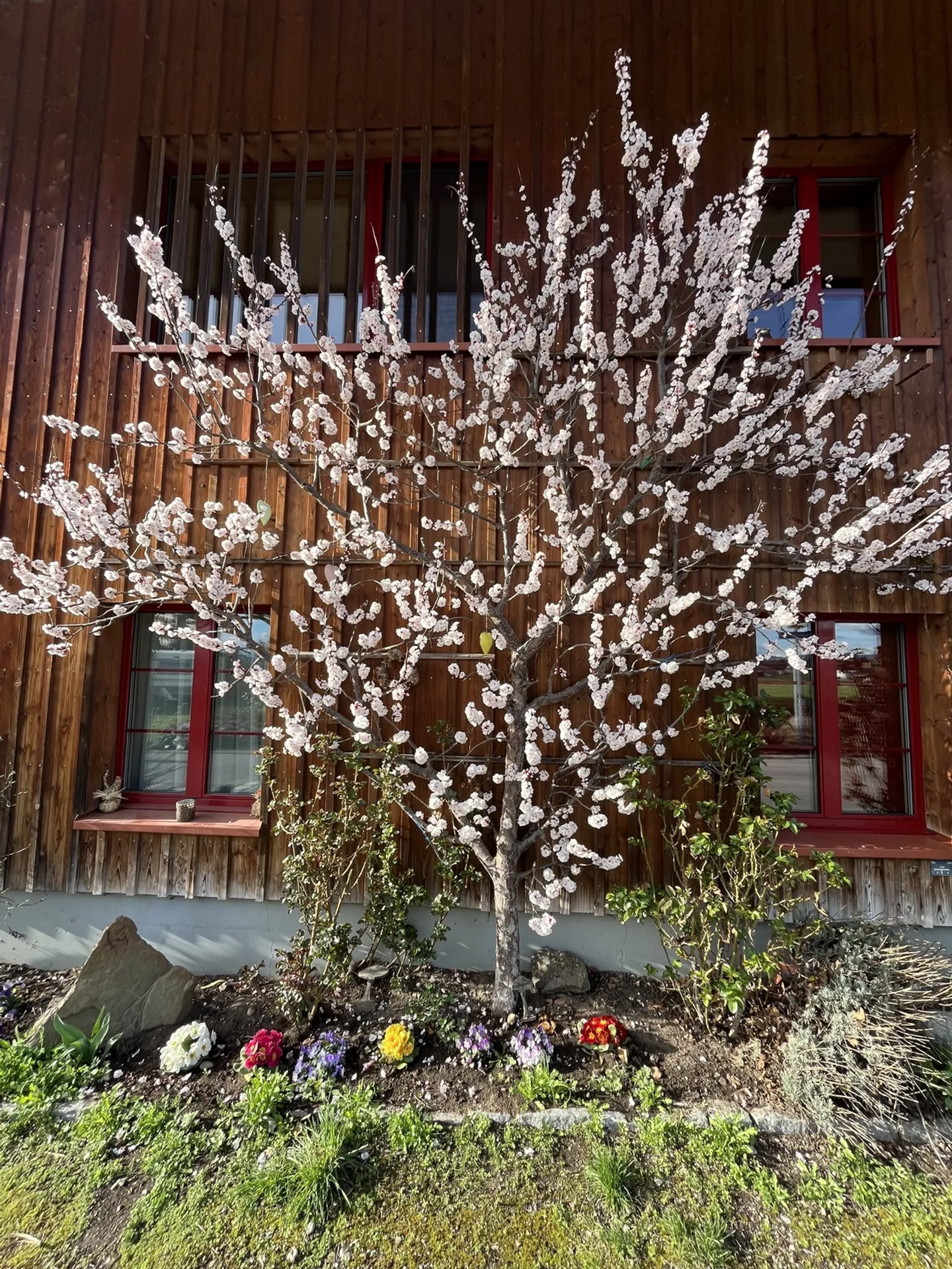 Charming 5-Room House - Photo 8 of 8