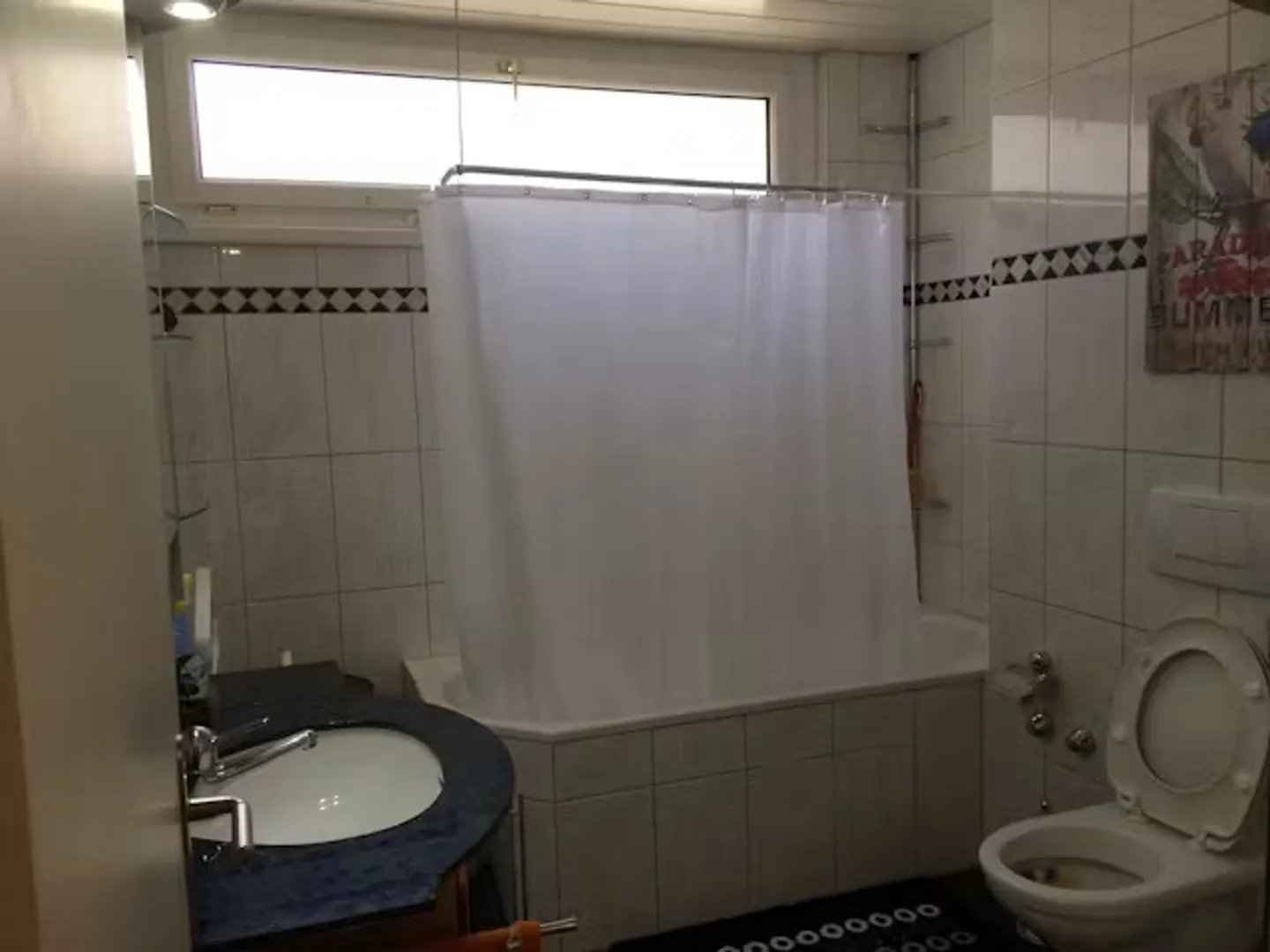 Furnished 3.5-Room Apartment - Photo 7 of 13