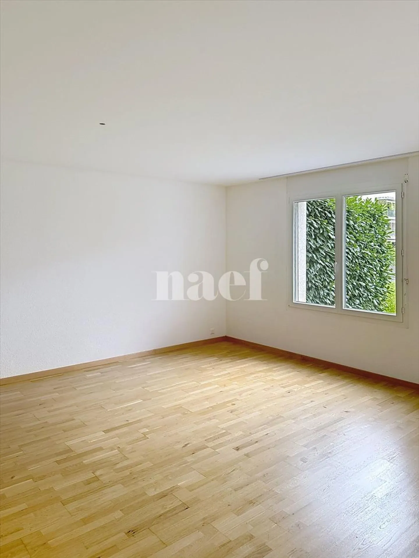 Appartement 3.5 pièces - Photo 4 sur 10