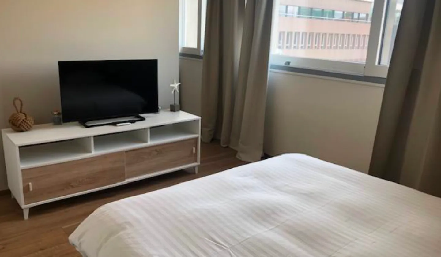 Investment Opportunity: Studio 41 m2 PPE in Carouge - Photo 2 of 4