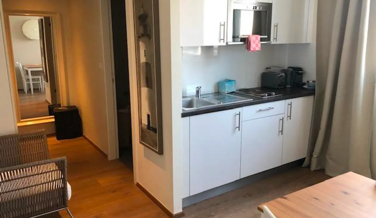 Investment Opportunity: Studio 41 m2 PPE in Carouge - Photo 3 of 4