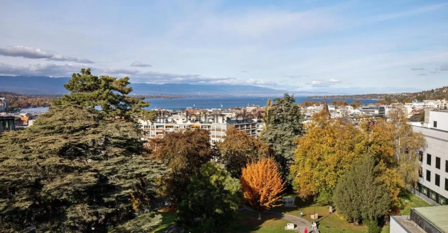 Malagnou | Spacieux appartement rénové au coeur de Genève - Foto 13 von 13