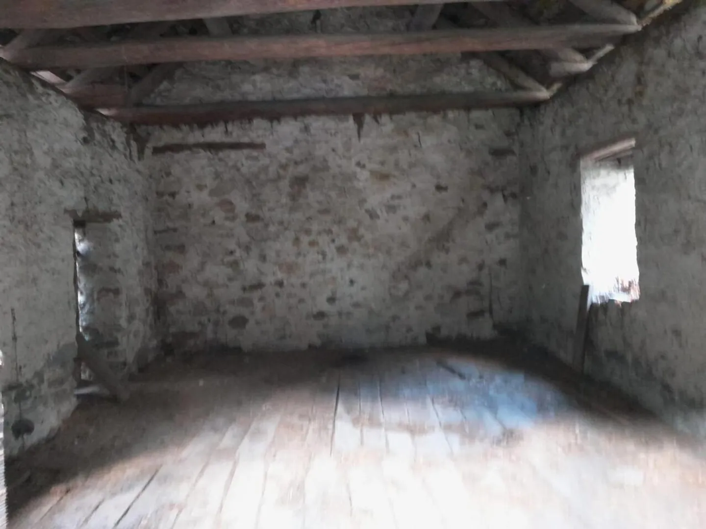 Two Houses to Renovate with Garden - Photo 4 of 13