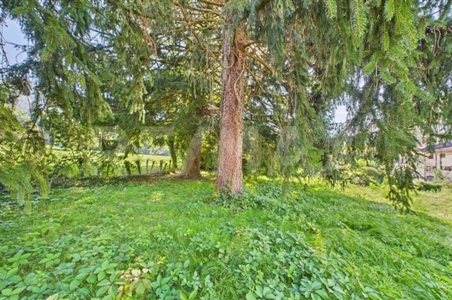 Wohnung - Foto 13 von 13