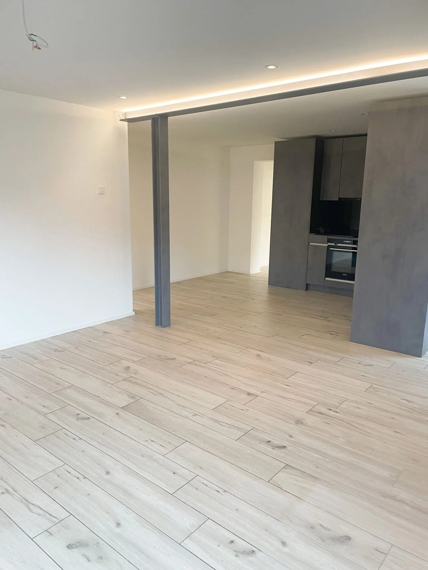 Renovated 3.5 Room Garden Apartment including Parking Space - Photo 16 of 17