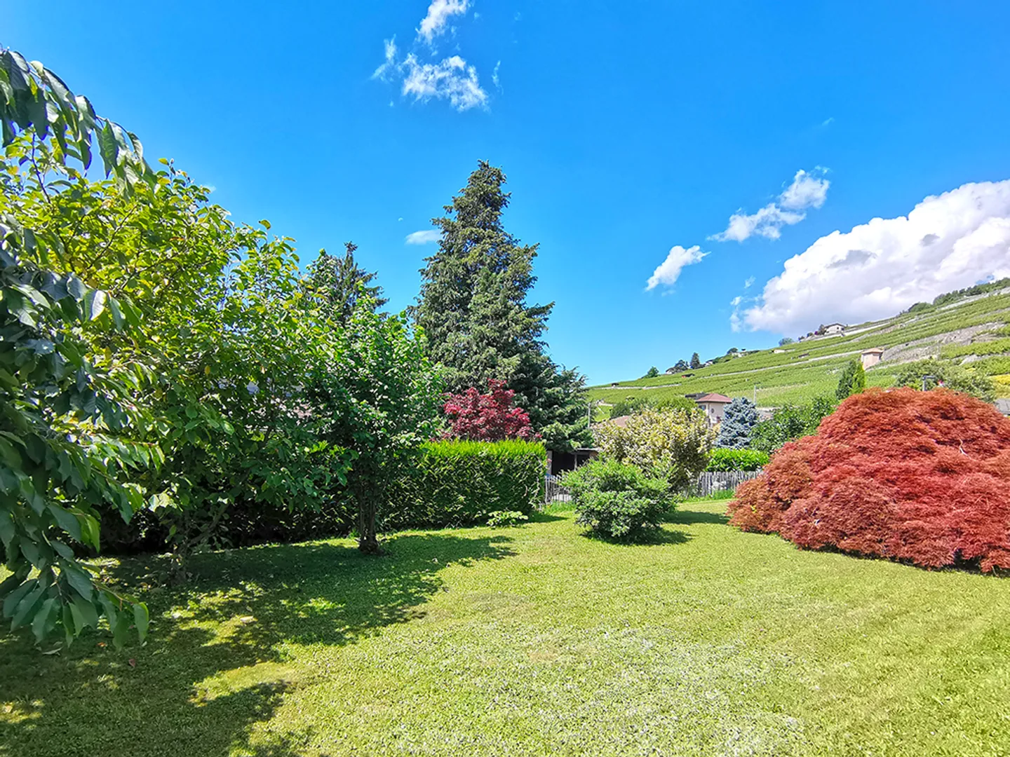 Casa bifamiliare 4,5 locali - Foto 3 di 4