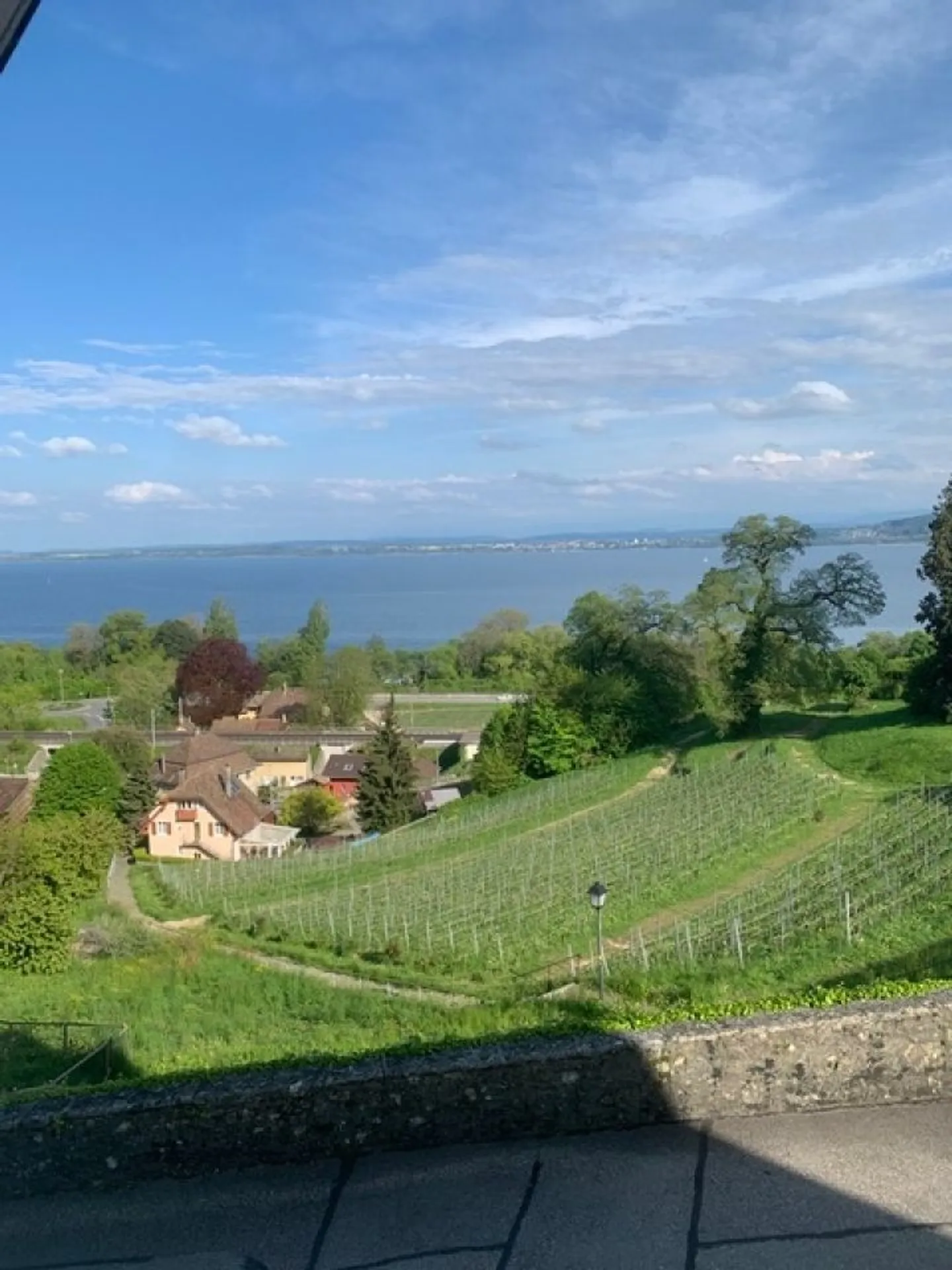 2 uffici di 26m2 con porta di collegamento - Foto 2 di 7