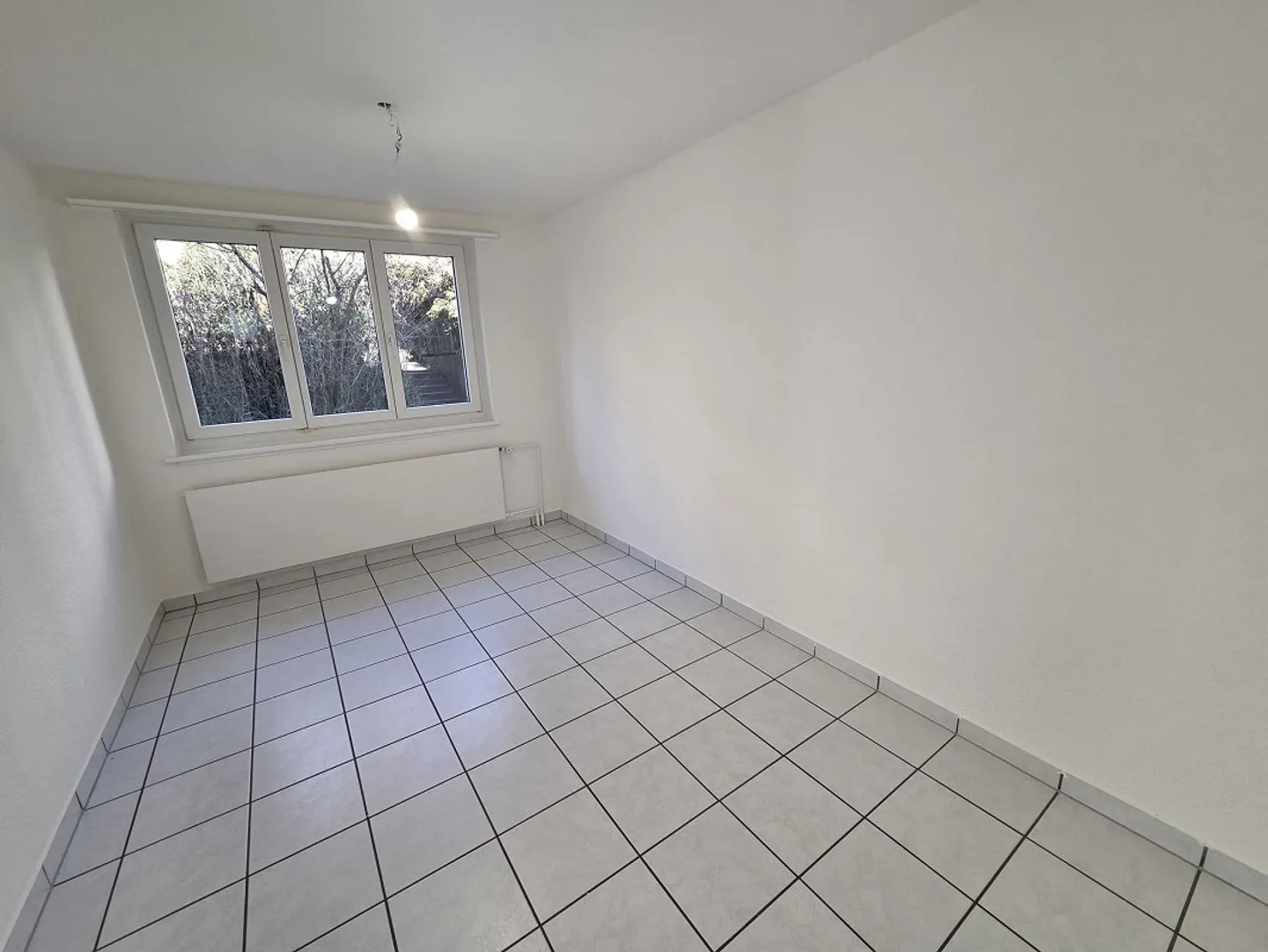 Charmante Wohnung in Schaffhausen - Foto 4 von 8