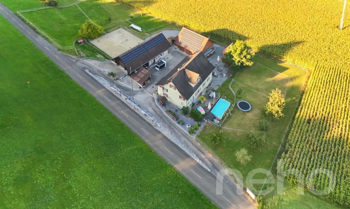 Fattoria diversificata con spazio abitativo e allevamento di cavalli a Bischofszell - Foto 1 di 11