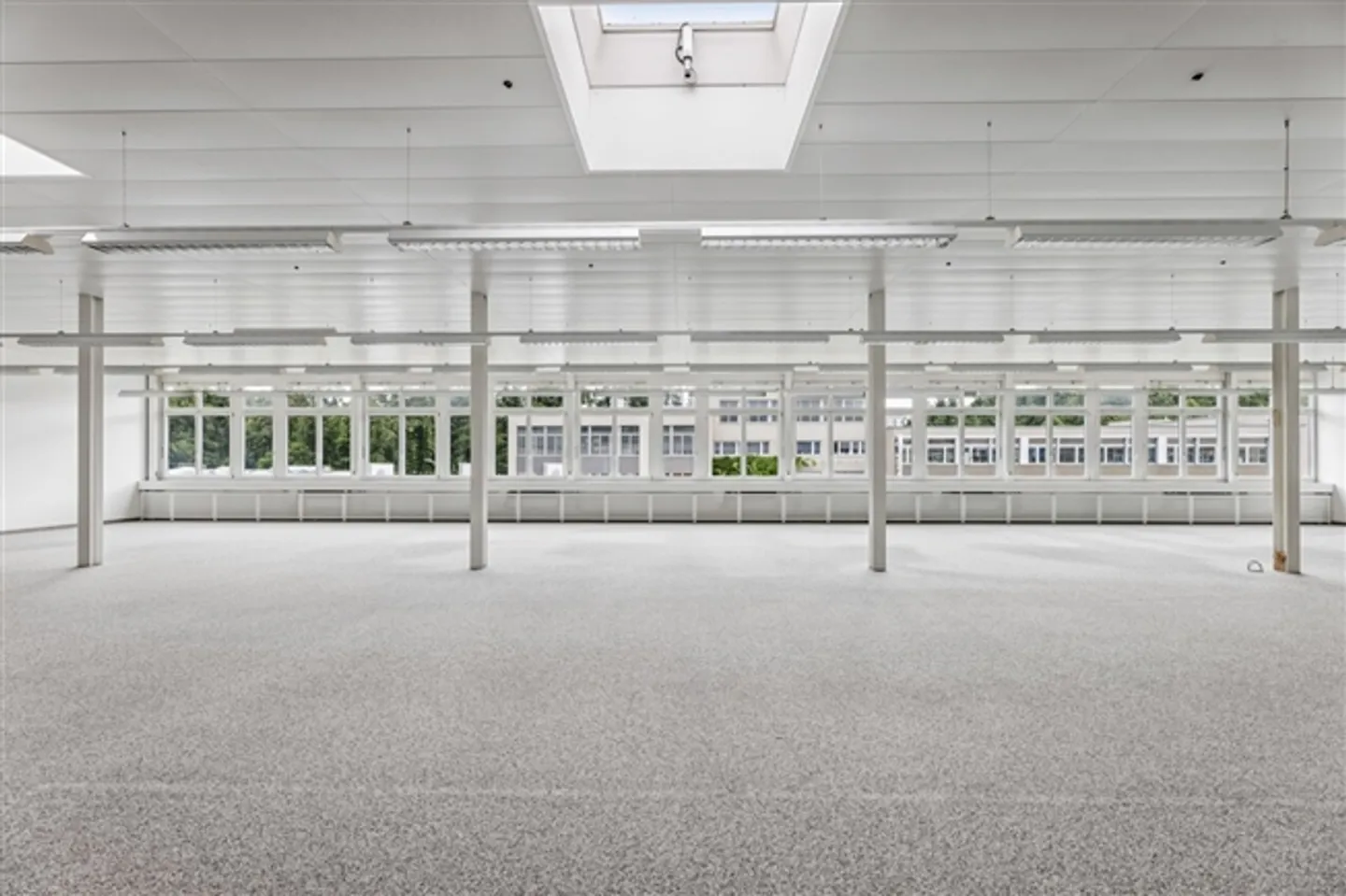 Bright, flexible commercial space in Muri - Photo 5 of 11