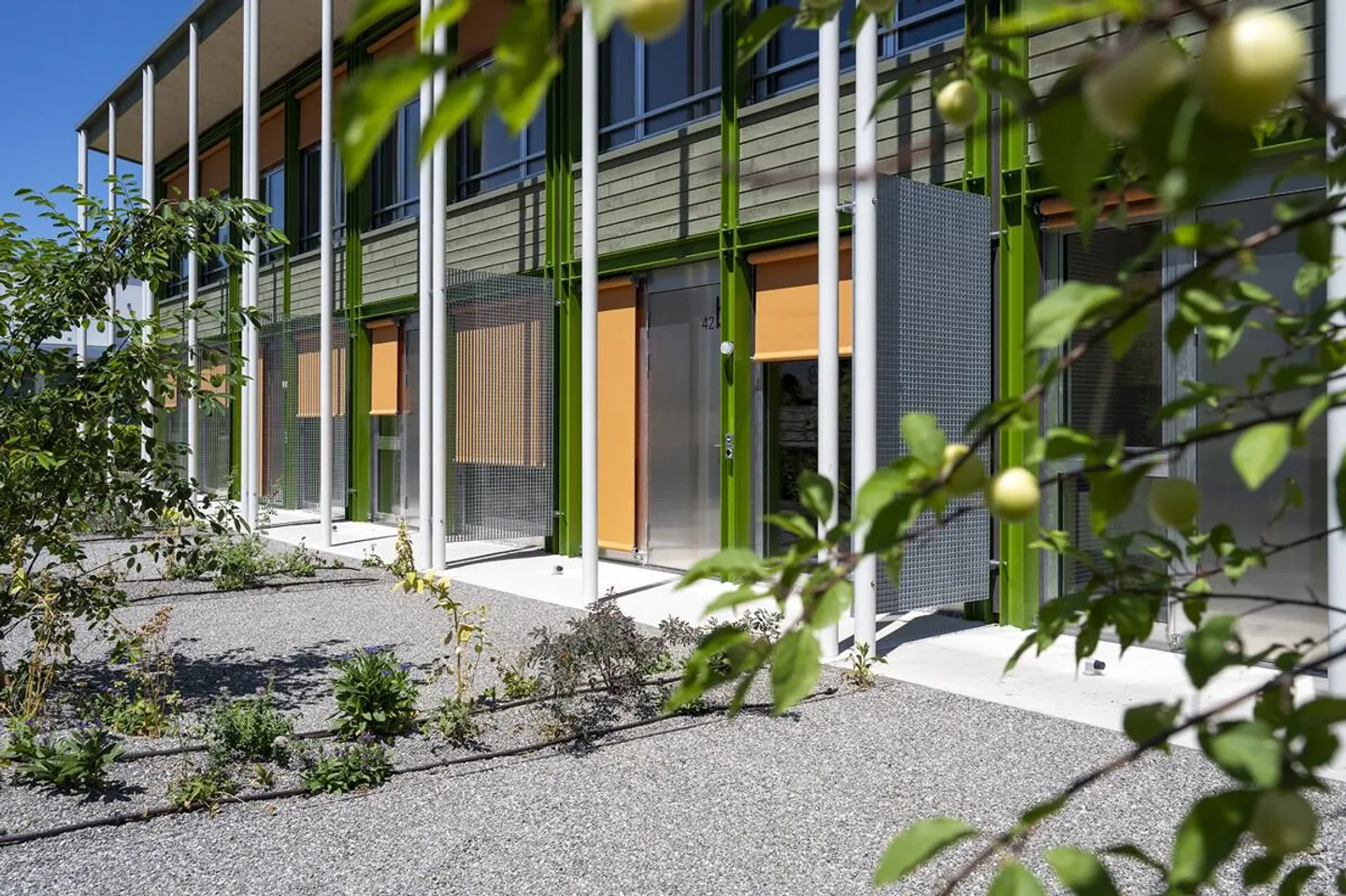 Smarte Reihenhäuser in Horgen - Foto 2 von 14