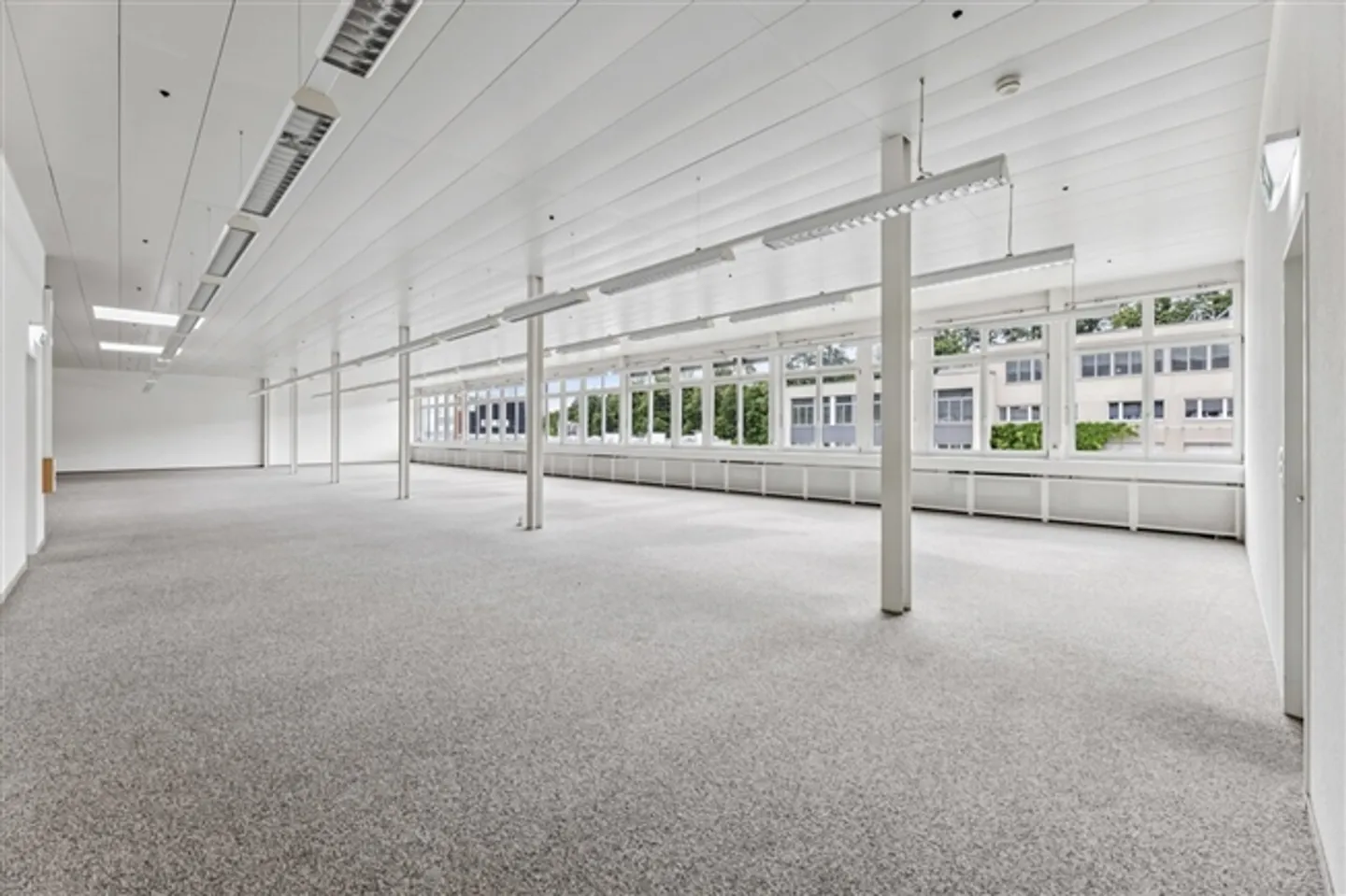 Bright, flexible commercial space in Muri - Photo 11 of 11