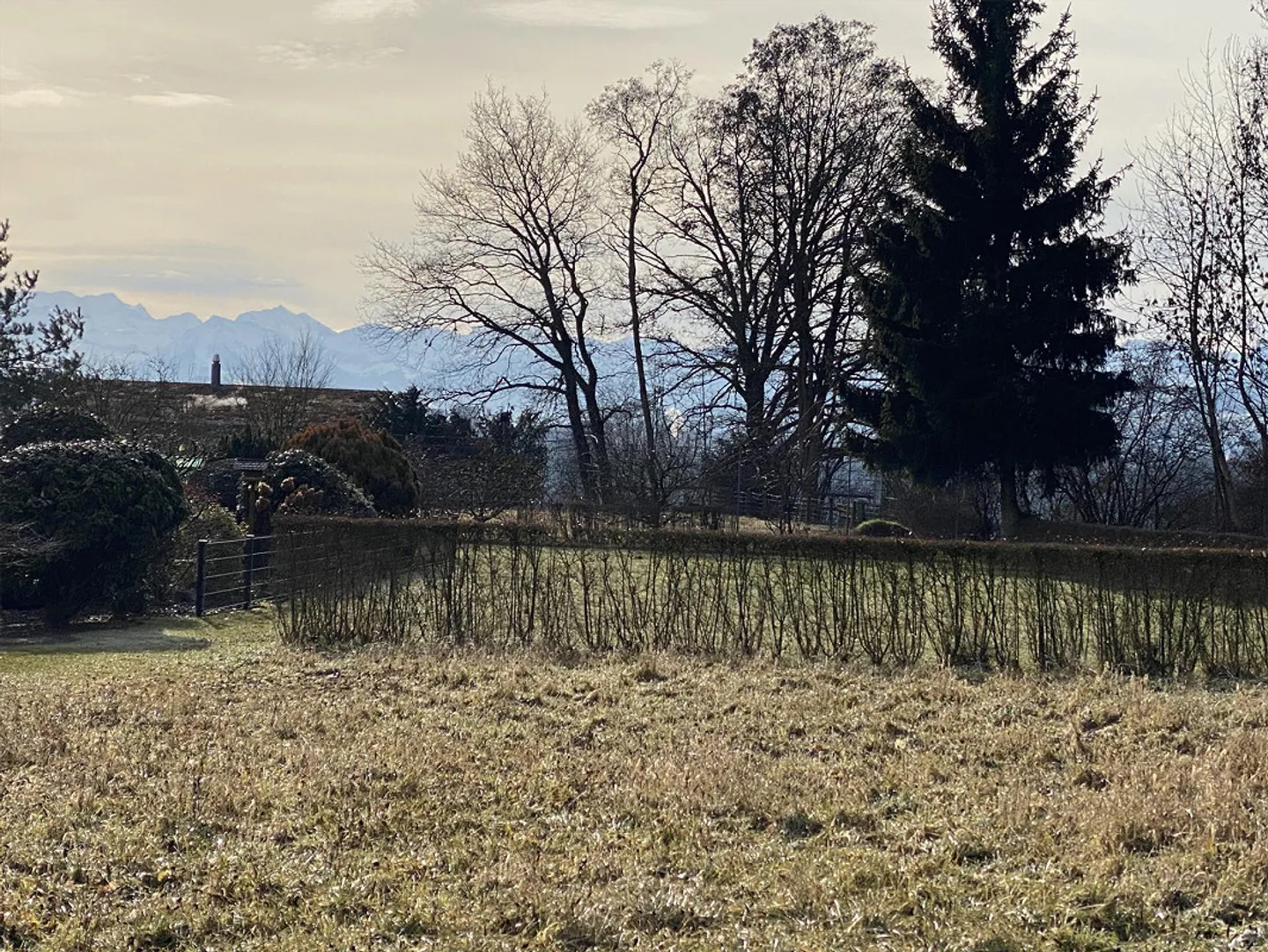 Barrier-free 3.5-room garden apartment - comfortable and quiet - Photo 22 of 22