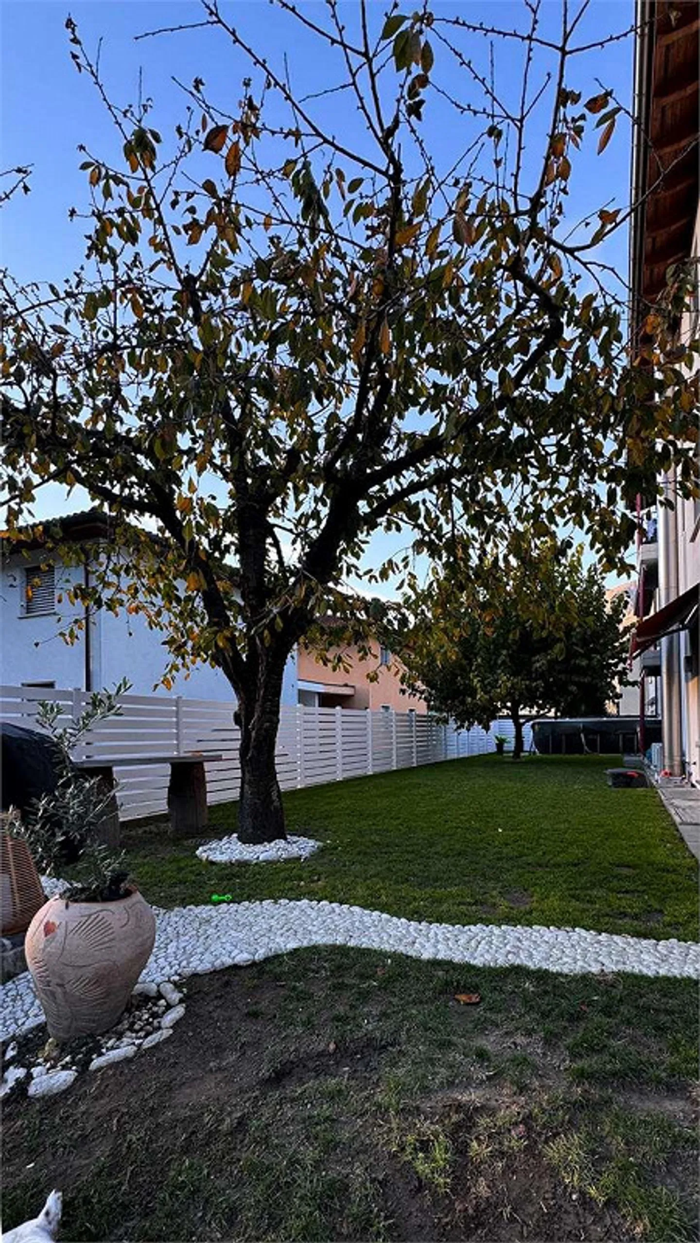 BELLISSIMO APPARTAMENTO CON GIARDINO A SANT'ANTONINO - Foto 1 di 13