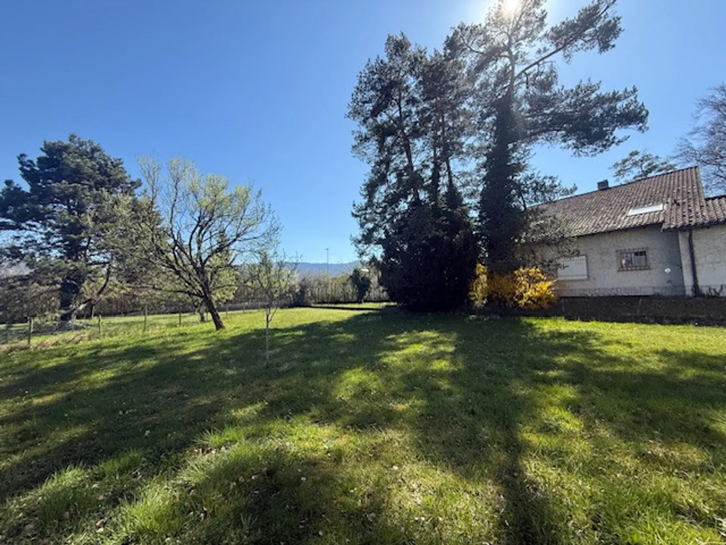 Master House - Photo 3 of 12