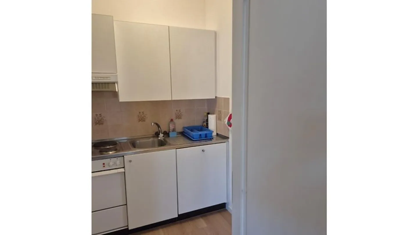 APPARTAMENTO 2 LOCALI A VIGANELLO (TI), ARREDATO, TEMPORANEO - Foto 6 di 10