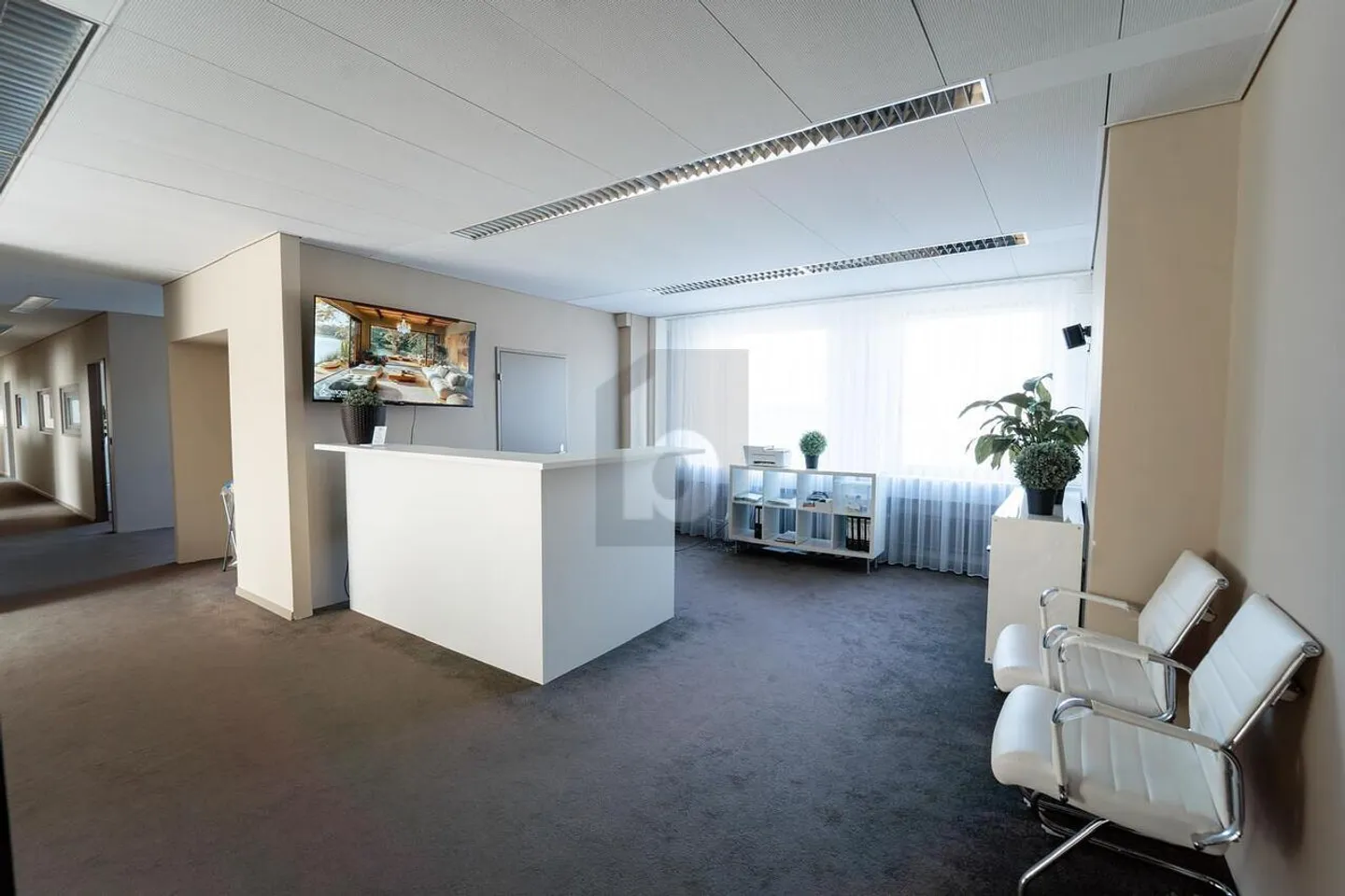 Grosszügiges Büro im Zentrum Zürichs - Foto 1 von 6