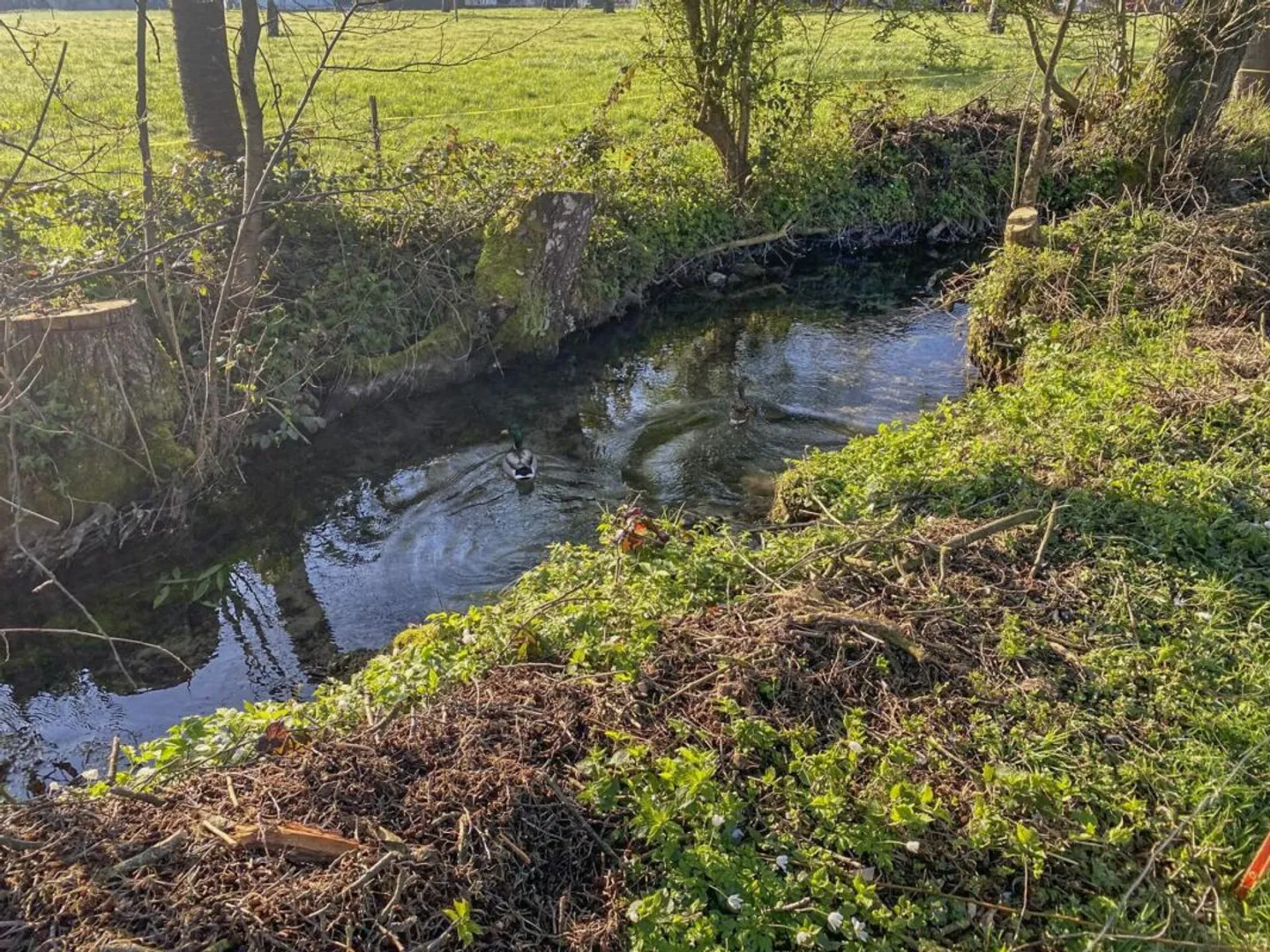 Grosses Bauernhaus direkt am Bach mit Landparzelle und Ausbaupotenzial - Foto 17 von 26