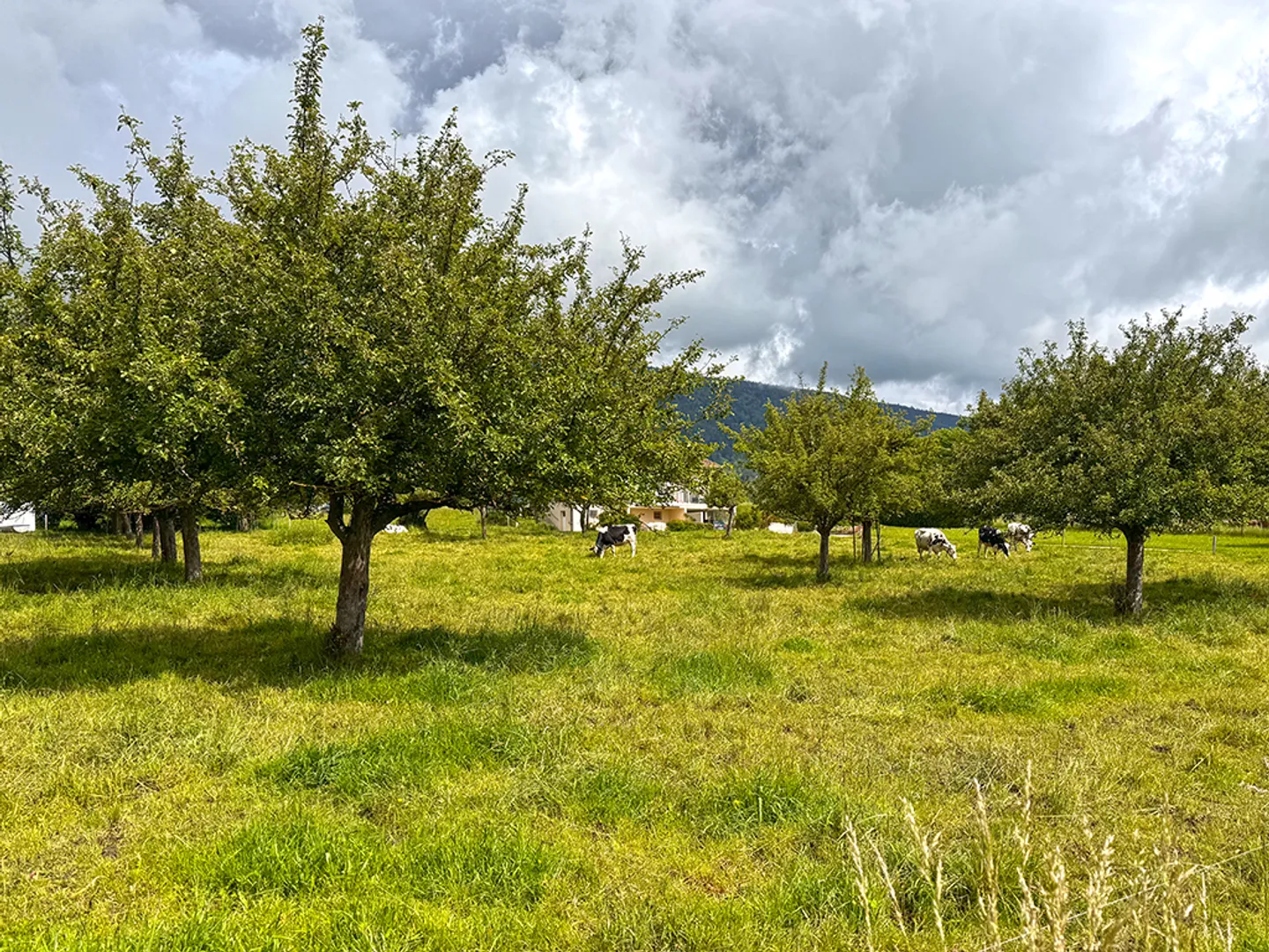 6-Zimmer-Haus - Foto 2 von 3