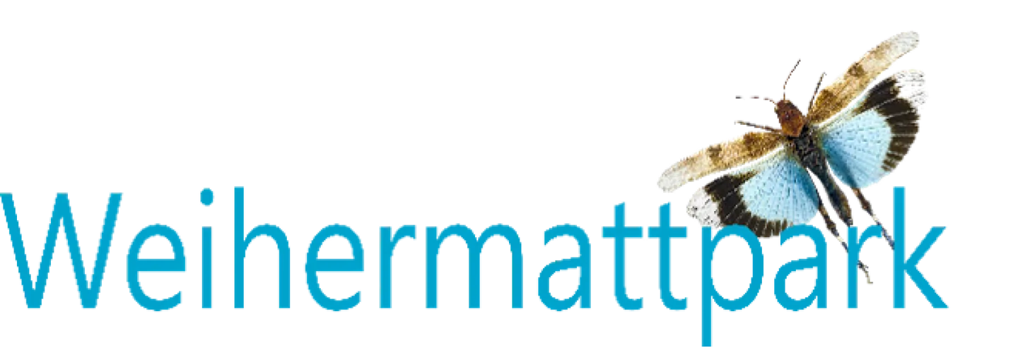 Äusserst grosszügige 5.5 Zimmer Wohnung, Neubau - Foto 6 von 6