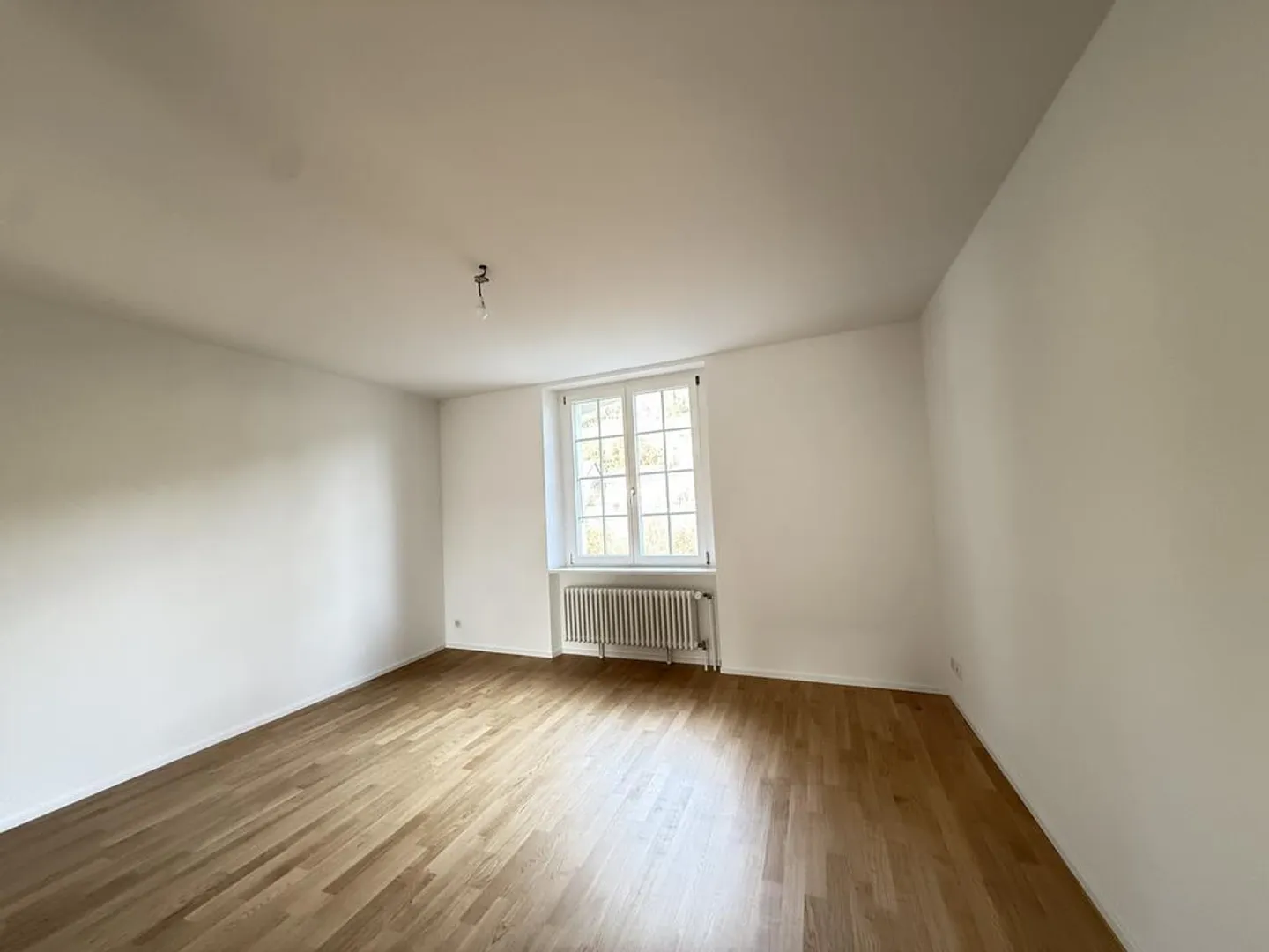 Prima locazione presso il castello di Zwingen - Per coppie, condivisione o da soli - Foto 4 di 10