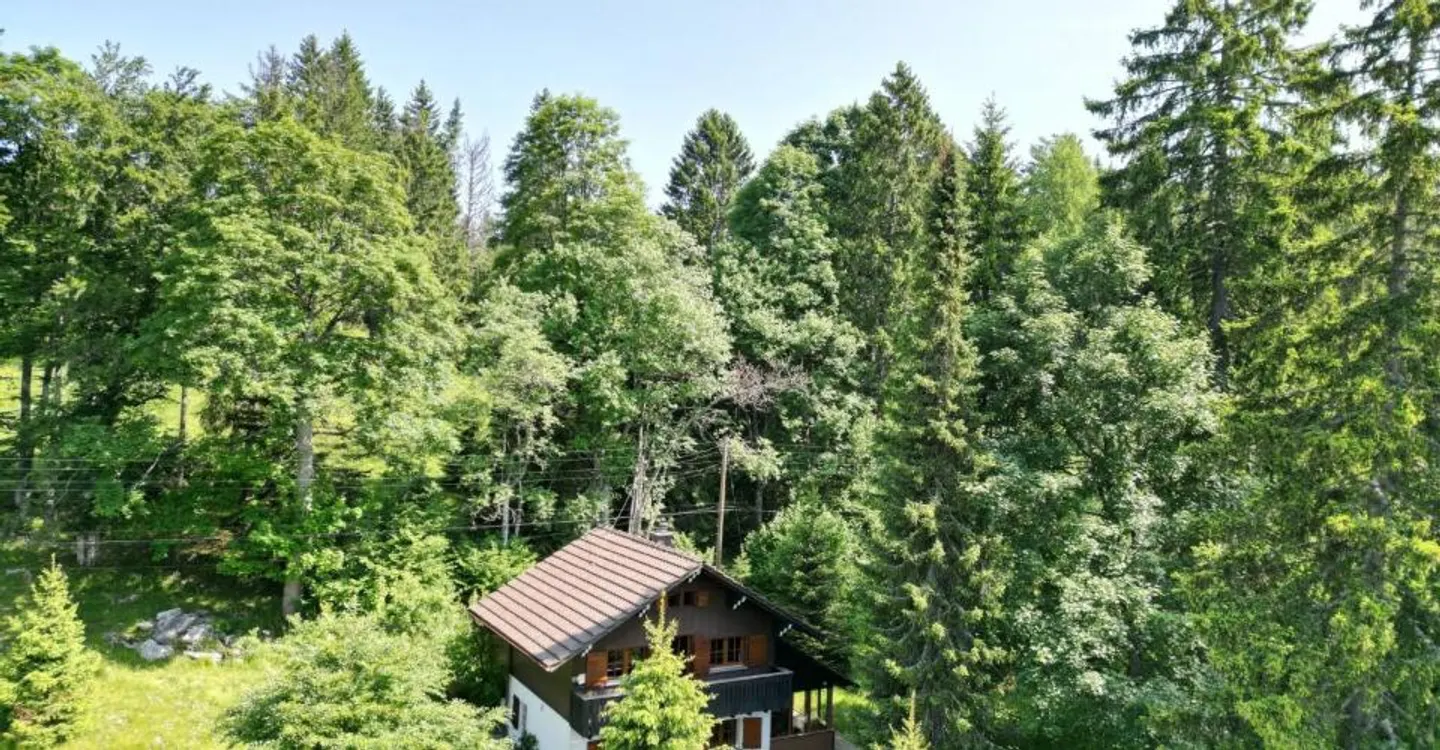 Chalet Naturel Charmant - Photo 3 sur 13