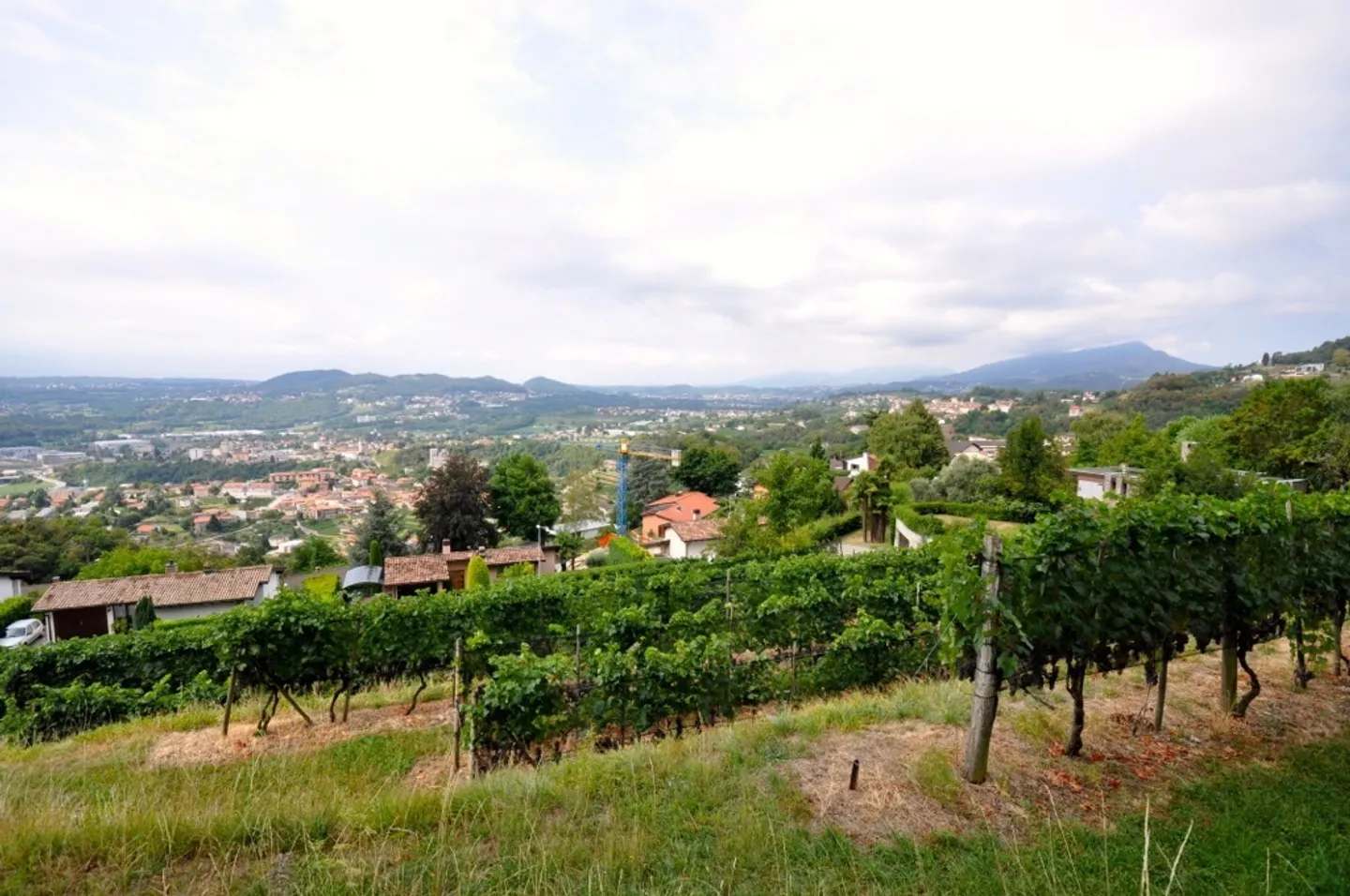 Terreno Edificabile 2'283 mq con Vista Panoramica a Morbio Superiore - Foto 2 di 10