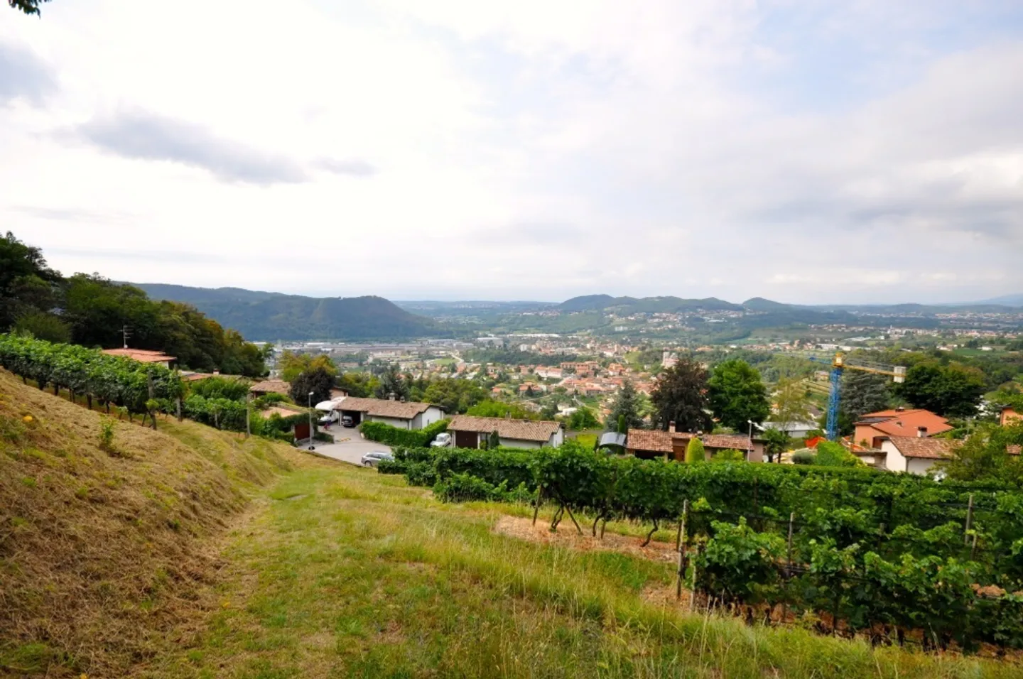 Terreno Edificabile 2'283 mq con Vista Panoramica a Morbio Superiore - Foto 3 di 10