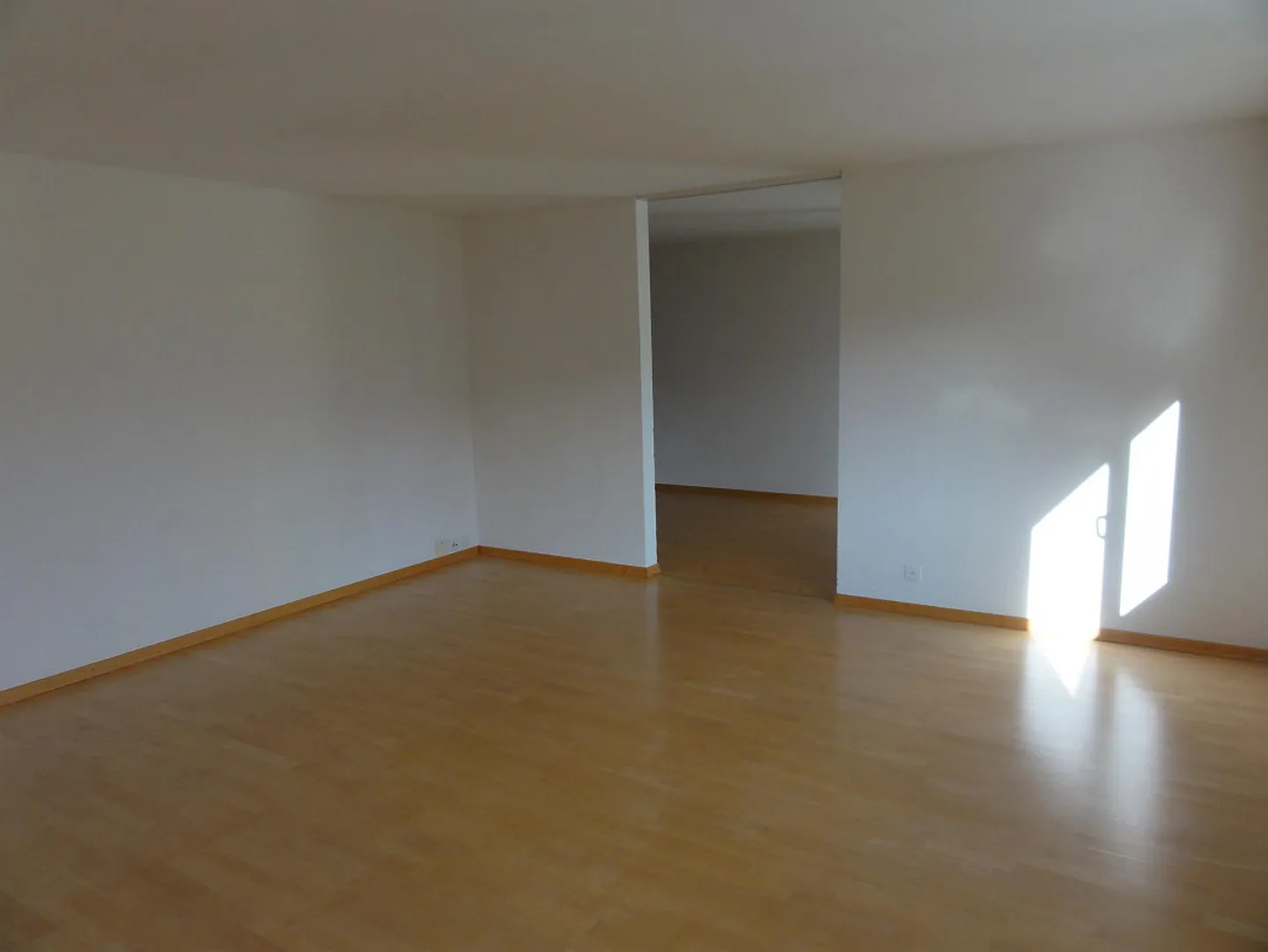 Appartement ensoleillé et spacieux dans un endroit calme - Photo 2 sur 17