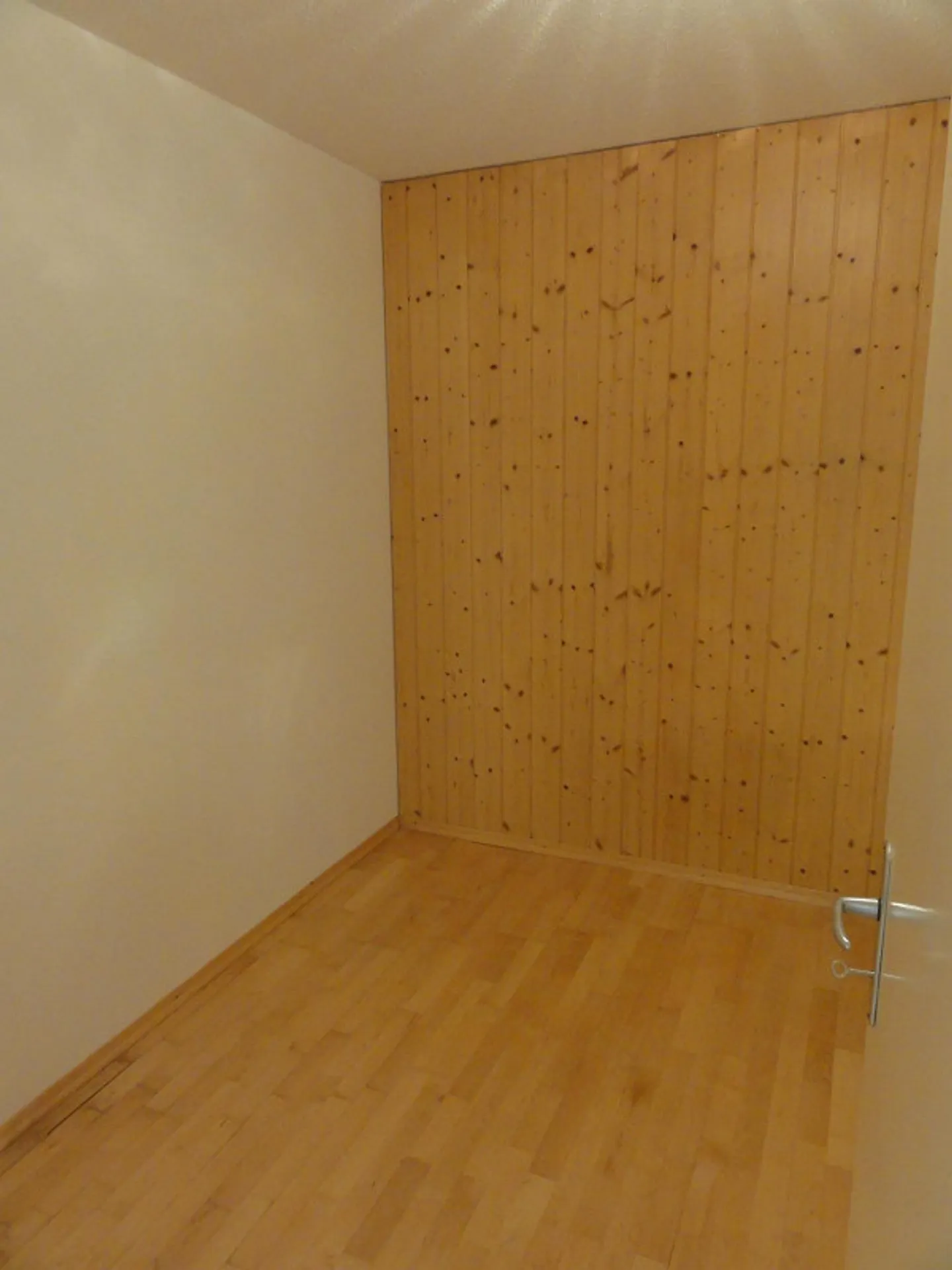Appartement ensoleillé et spacieux dans un endroit calme - Photo 14 sur 17