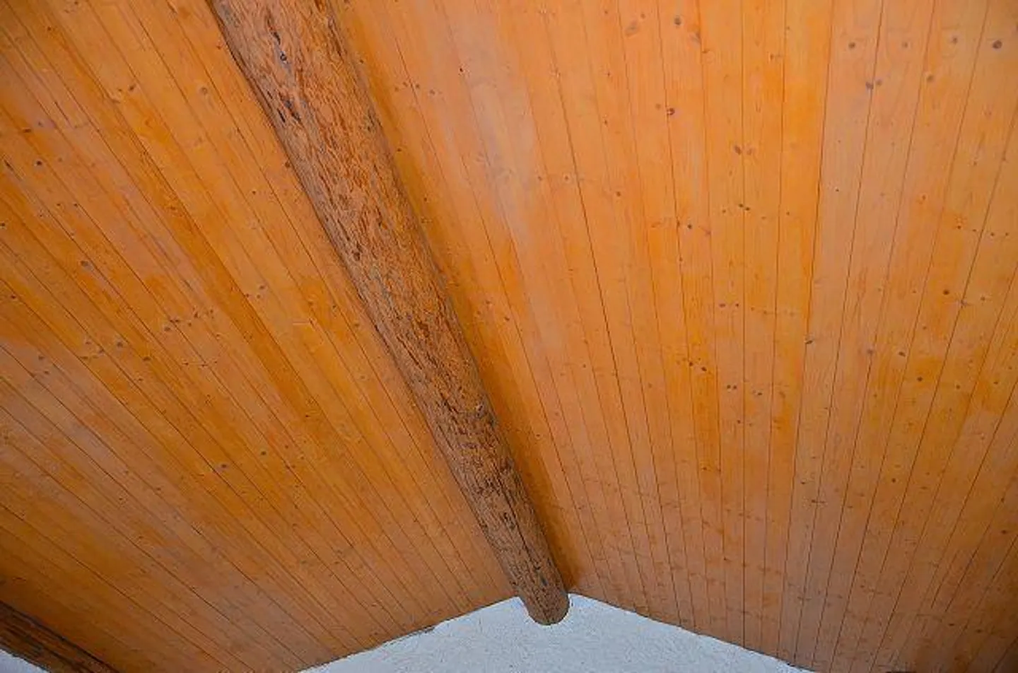 Rustico Incantevole nella Natura - Foto 7 di 13