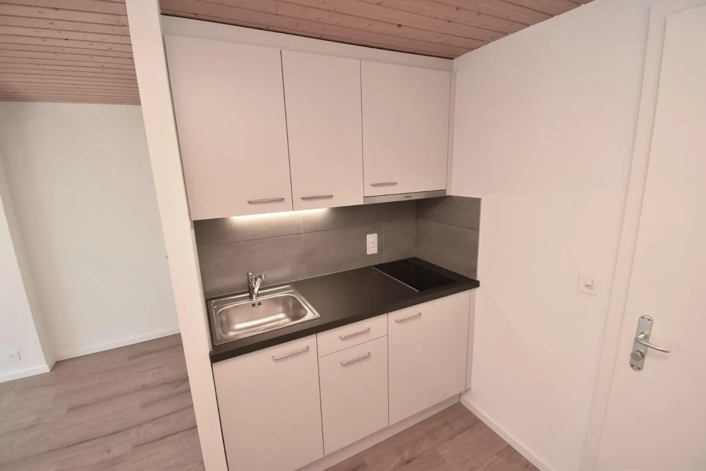 PPE Argentine - Foto 1 von 1