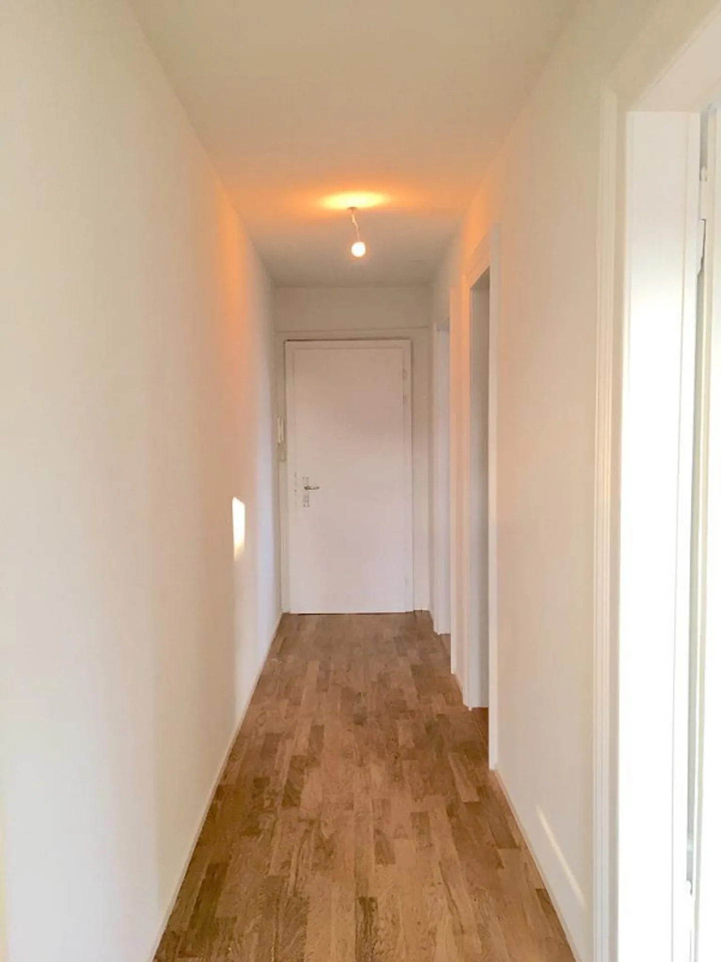 APPARTAMENTO MODERNO 2.5 STANZE DIRETTAMENTE AL CLARAPLATZ - Foto 11 di 12