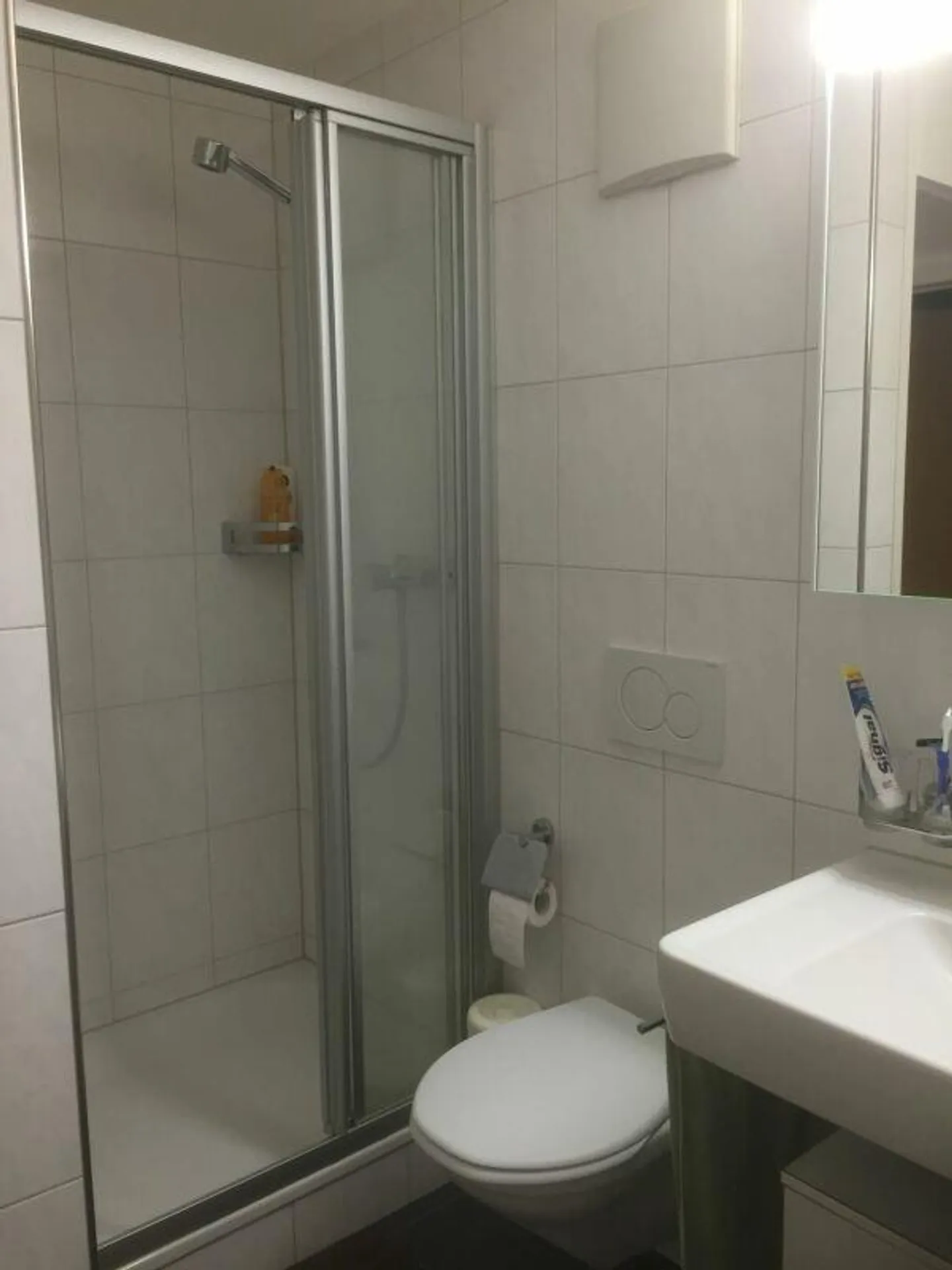 Affordable Apartment in Sargans - Photo 6 of 9