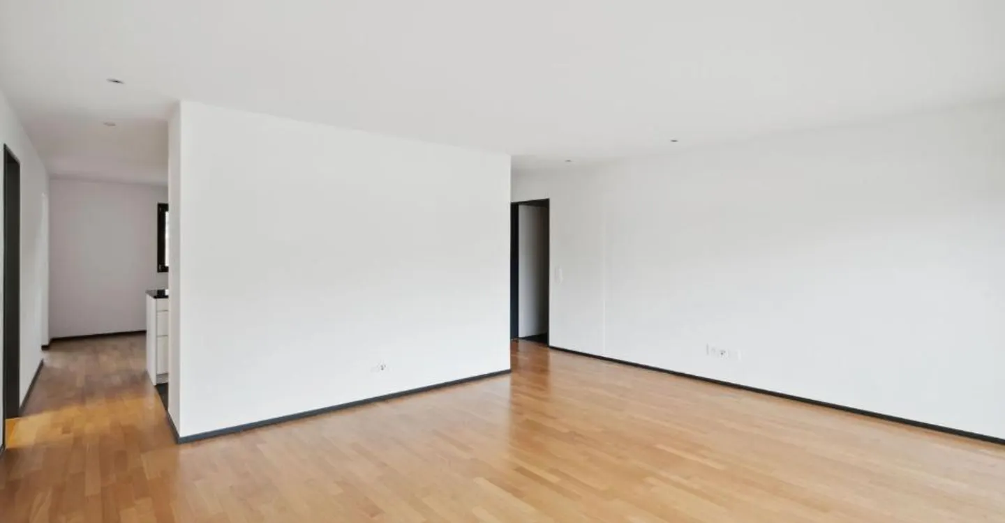 RENT WITHOUT DEPOSIT - spacious apartment with plenty of sun - Photo 3 of 8