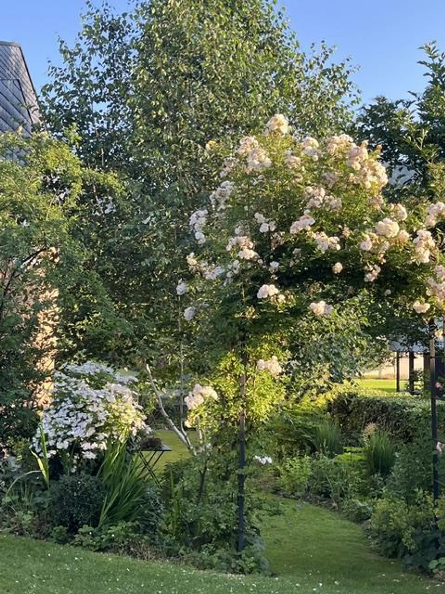 Charmantes Einfamilienhaus mit Garten - Foto 18 von 23