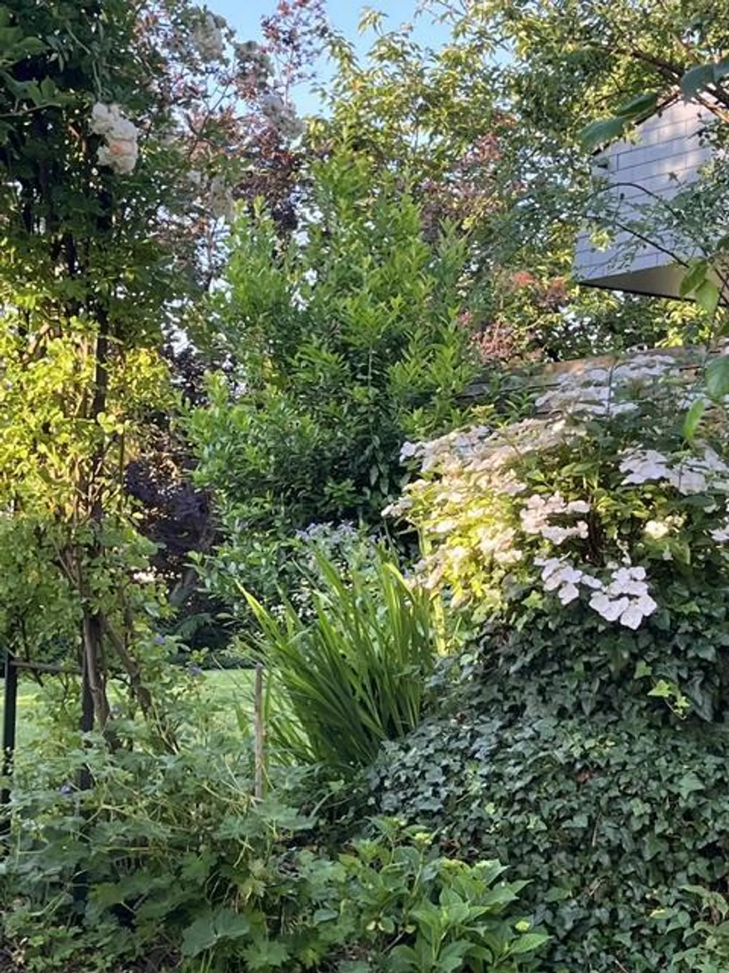 Charmantes Einfamilienhaus mit Garten - Foto 19 von 23