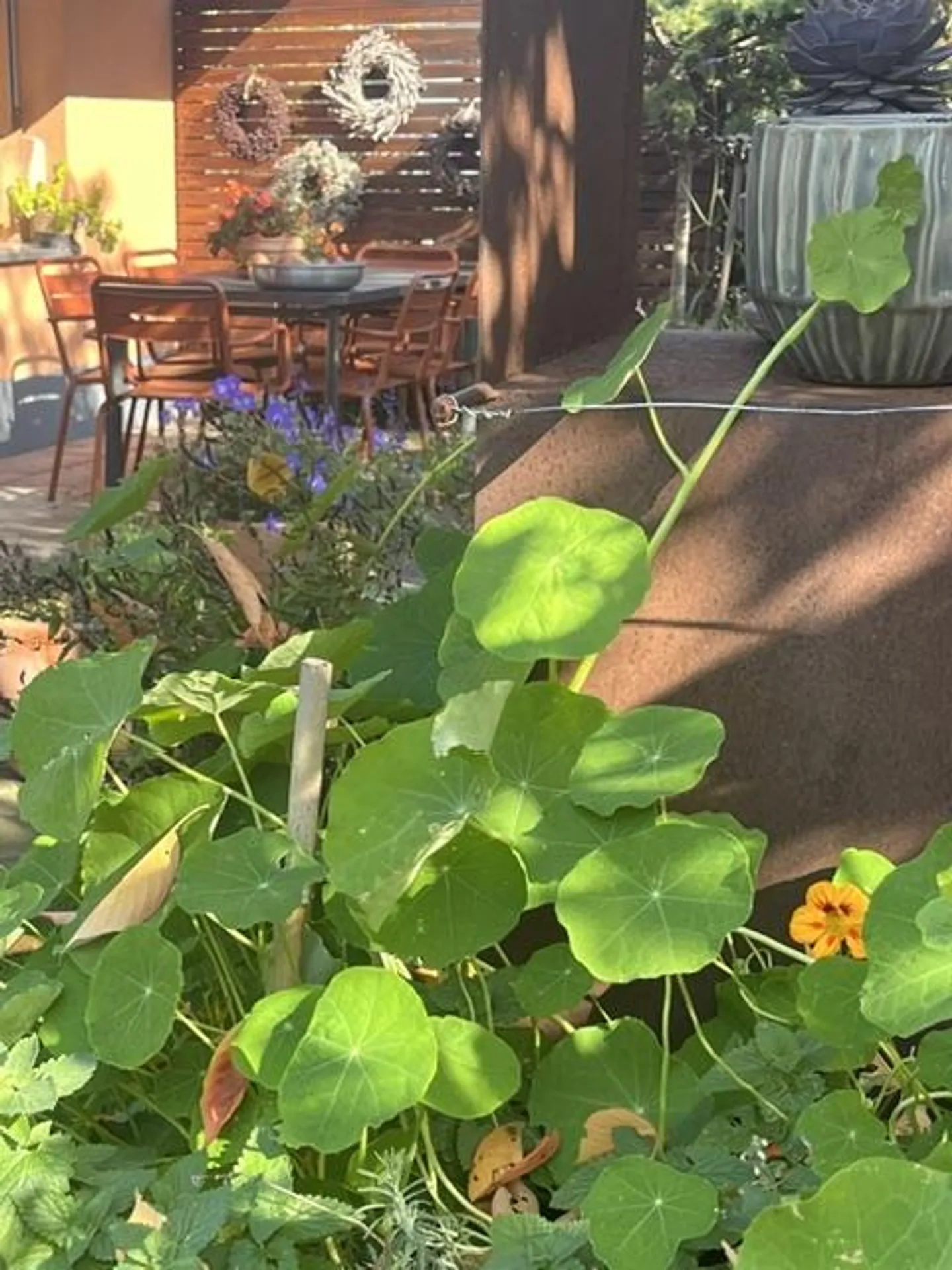 Charmantes Einfamilienhaus mit Garten - Foto 20 von 23