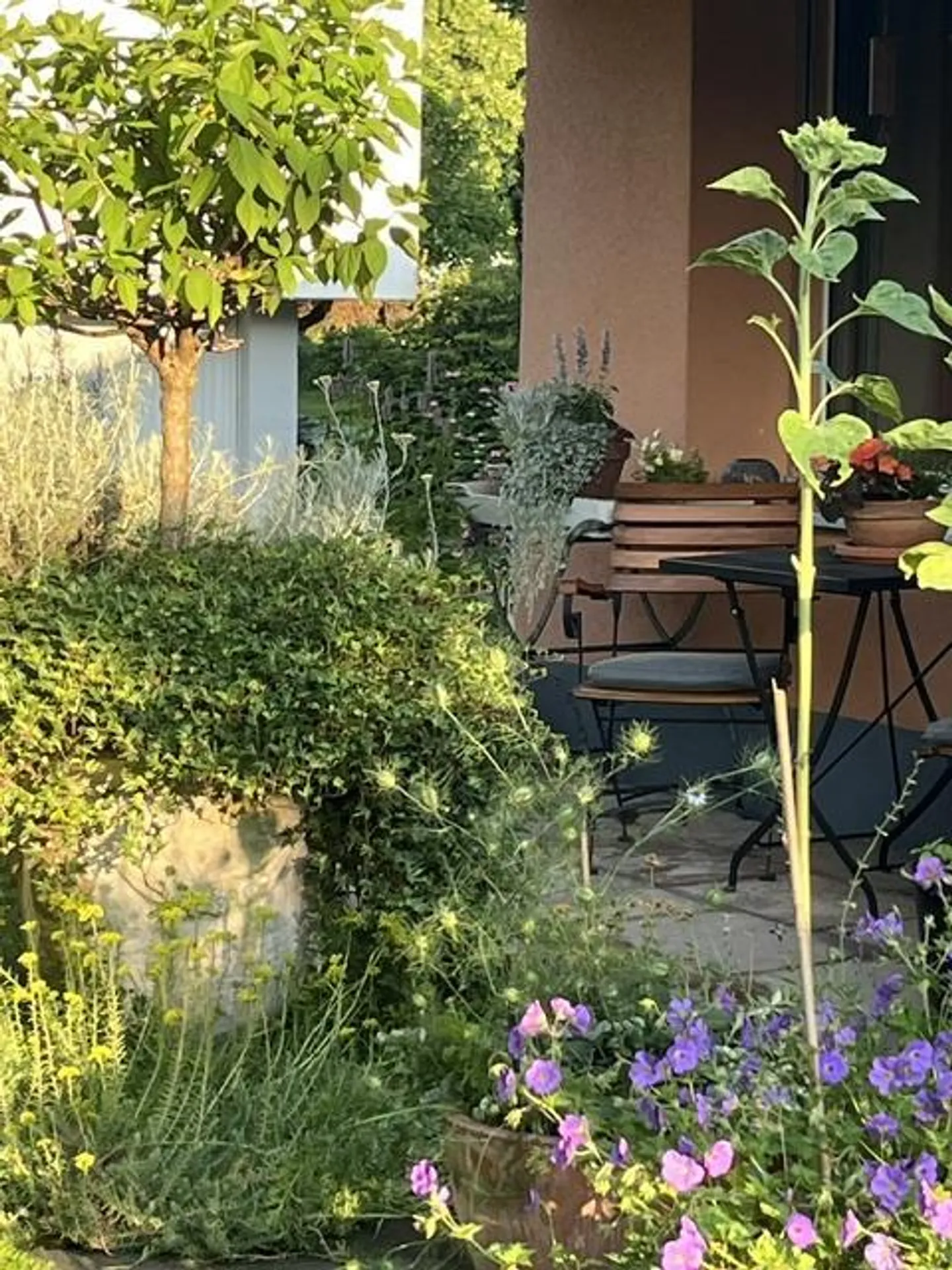 Charmantes Einfamilienhaus mit Garten - Foto 21 von 23