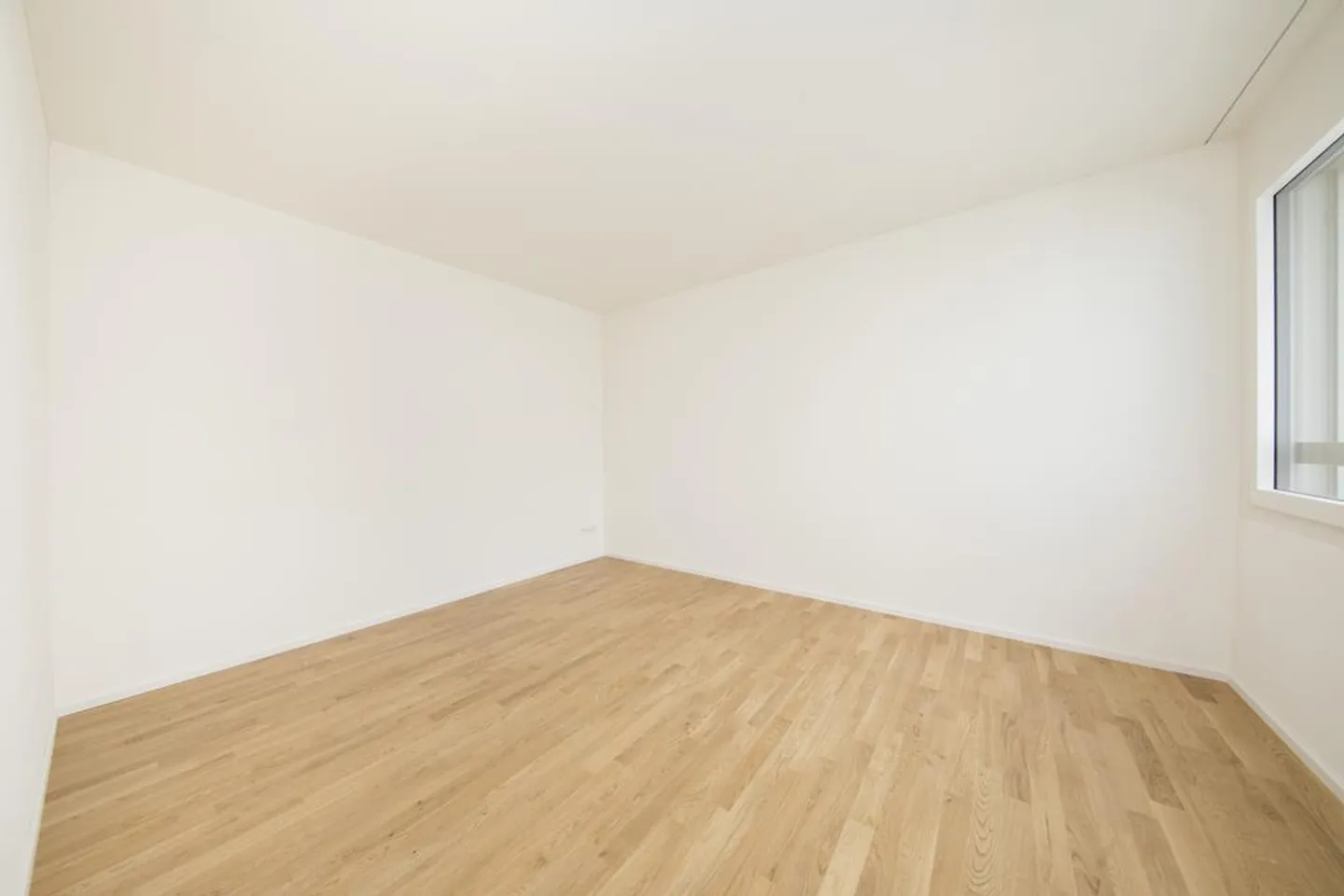 Modern Apartment for Rent - Photo 4 of 11