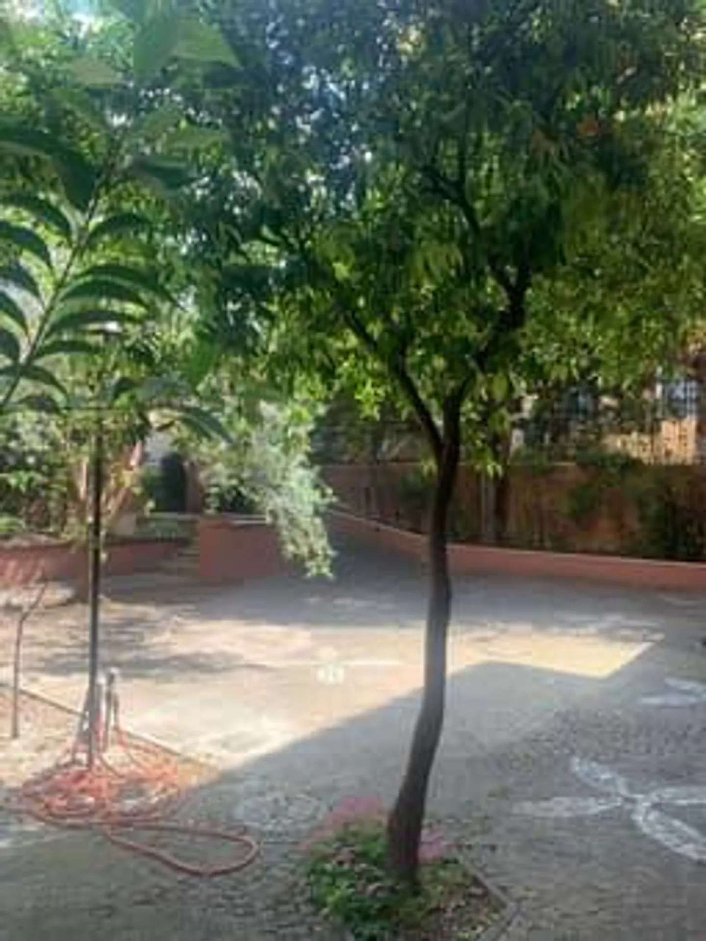 Villa di lusso con giardino nel cuore di Roma - Foto 8 von 28