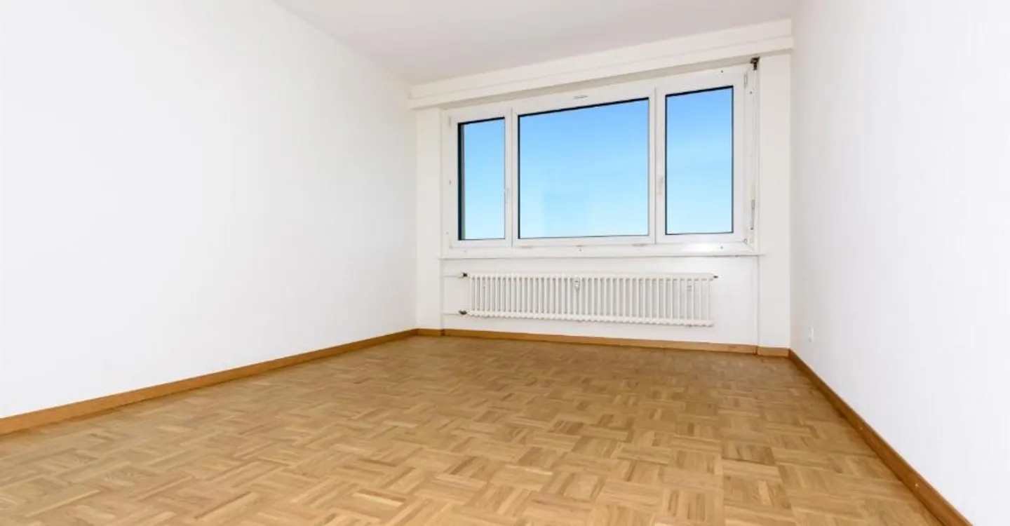 Appartement entièrement rénové - Photo 4 sur 10