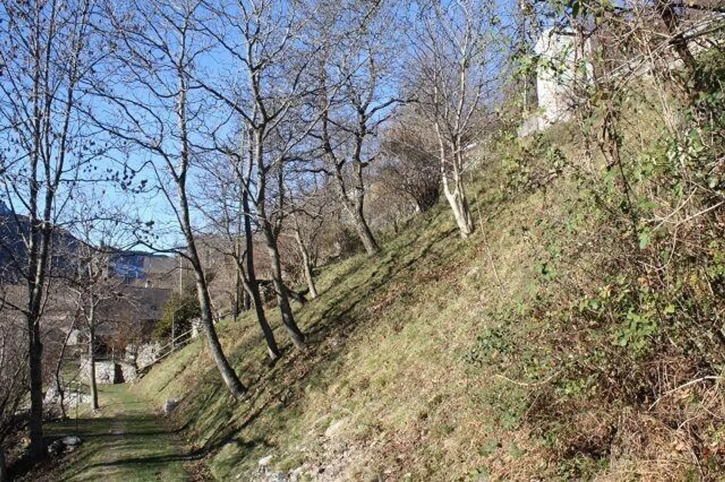 The Fresh Air Project - Photo 5 of 9