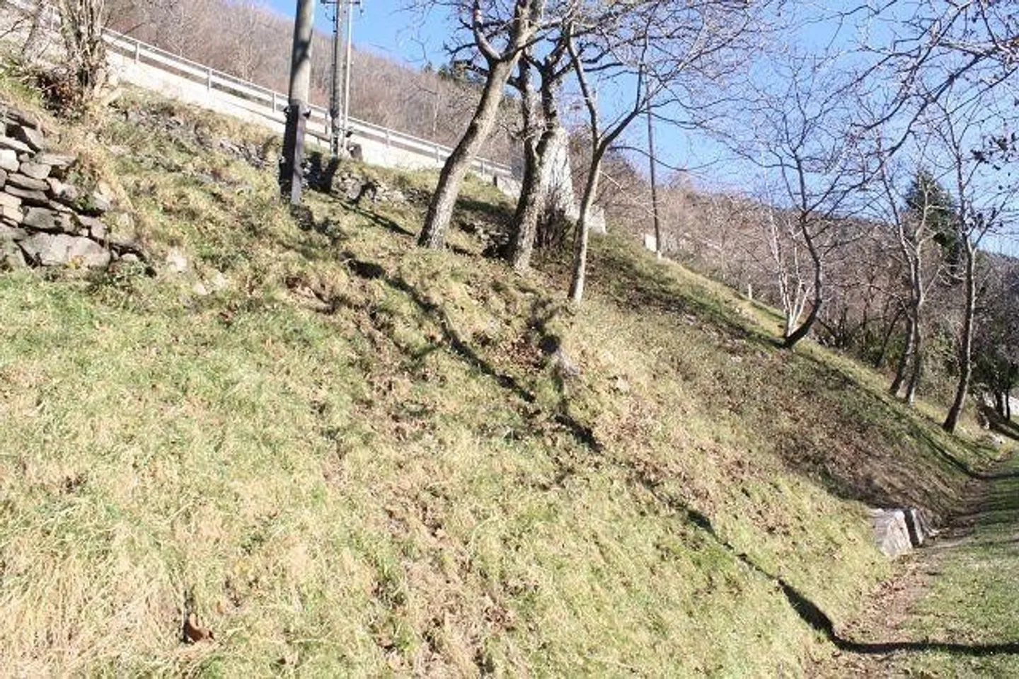 The Fresh Air Project - Photo 6 of 9