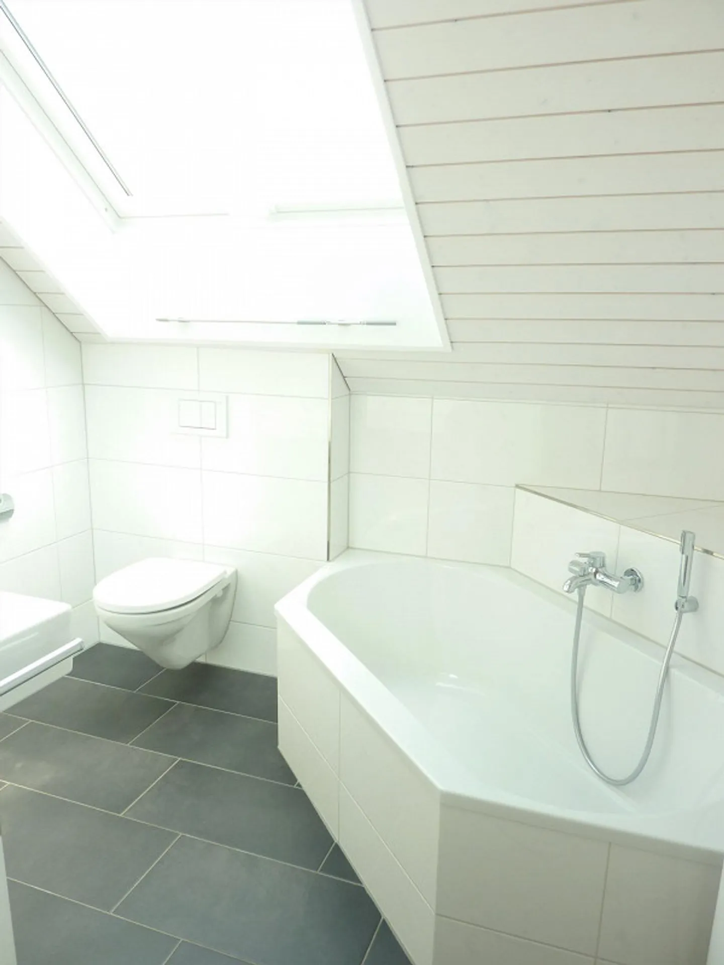 3.5 Room Penthouse Apartment with Panoramic View of Lake and Mountains - Photo 15 of 19