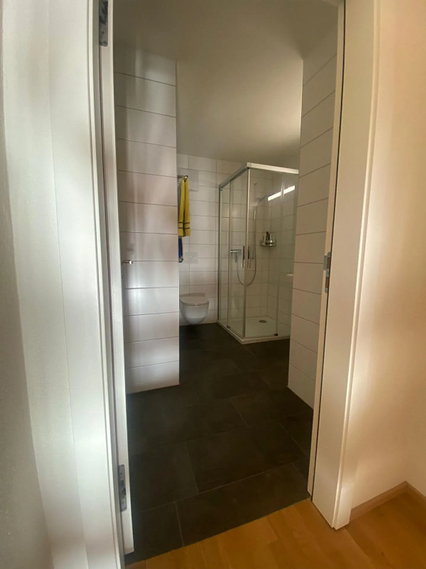 Appartamento da sogno di 2,5 stanze (arredato) - a tempo determinato - in affitto - Foto 4 di 4