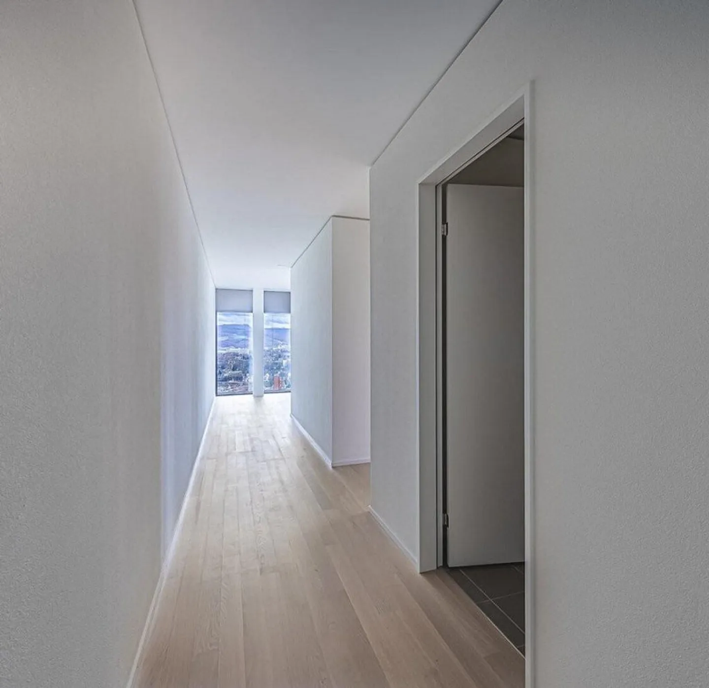 Exclusive Apartment in Basel - Prestige & Elegance - Photo 2 of 12